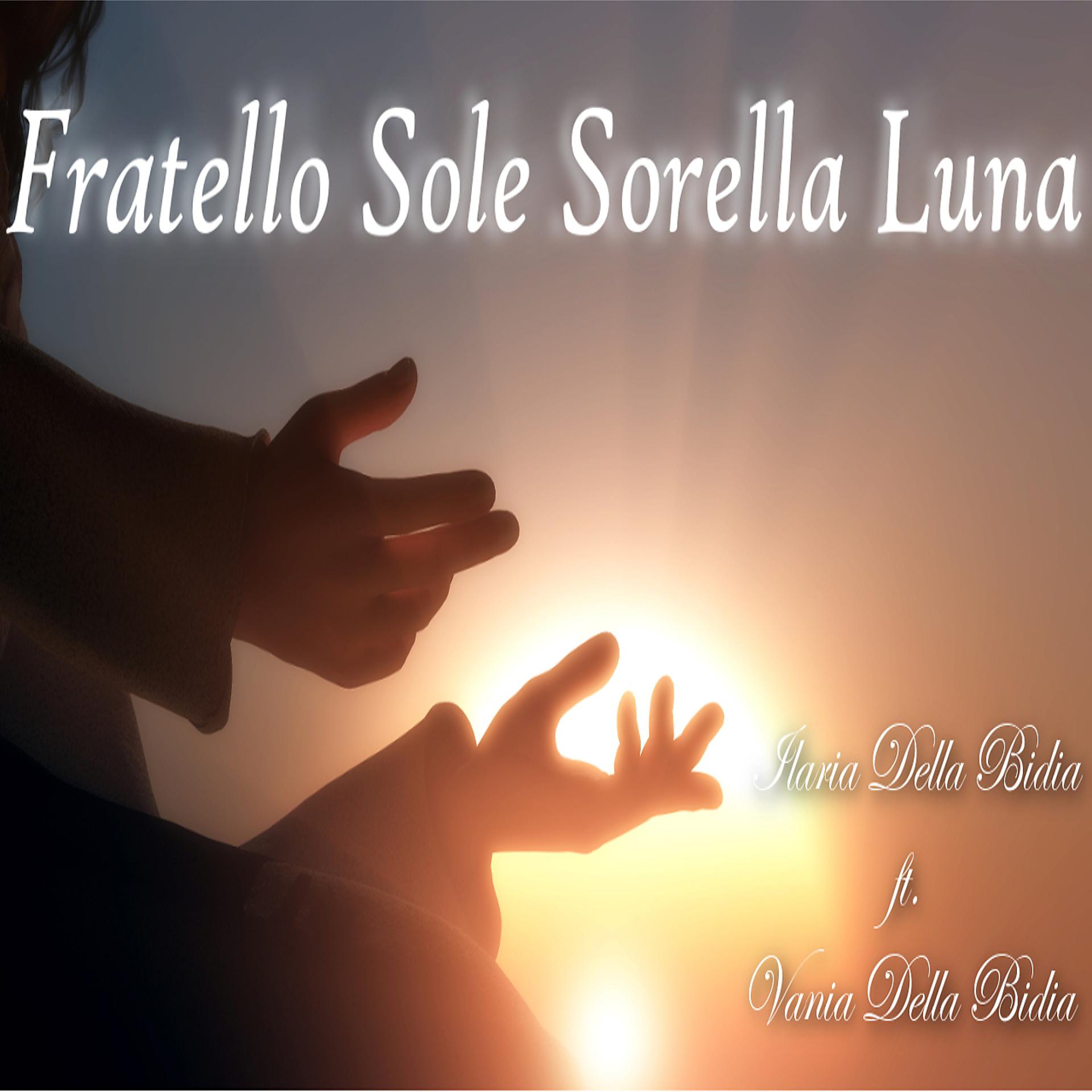 Постер альбома Fratello sole sorella luna