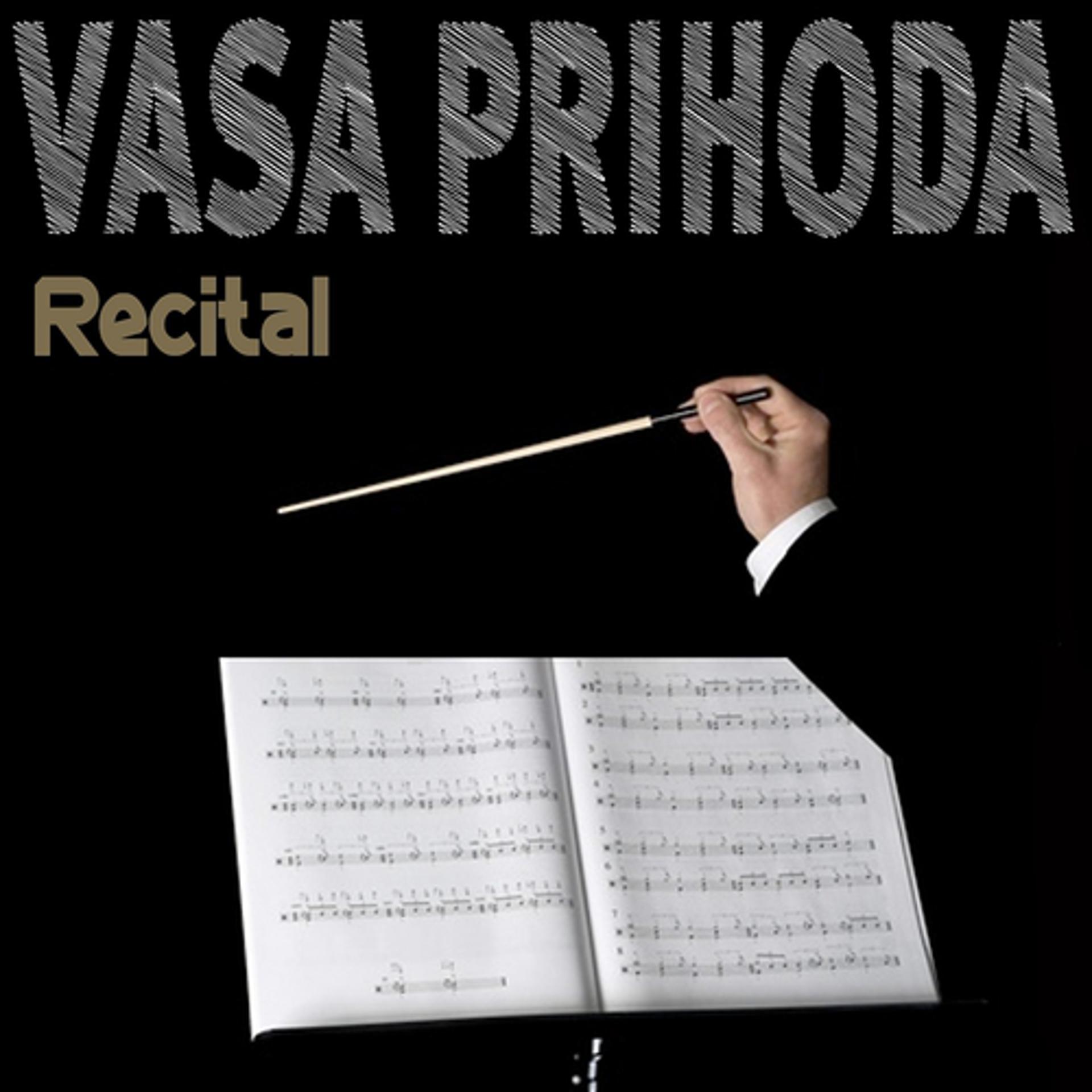 Постер альбома Vasa Prihoda, Recital
