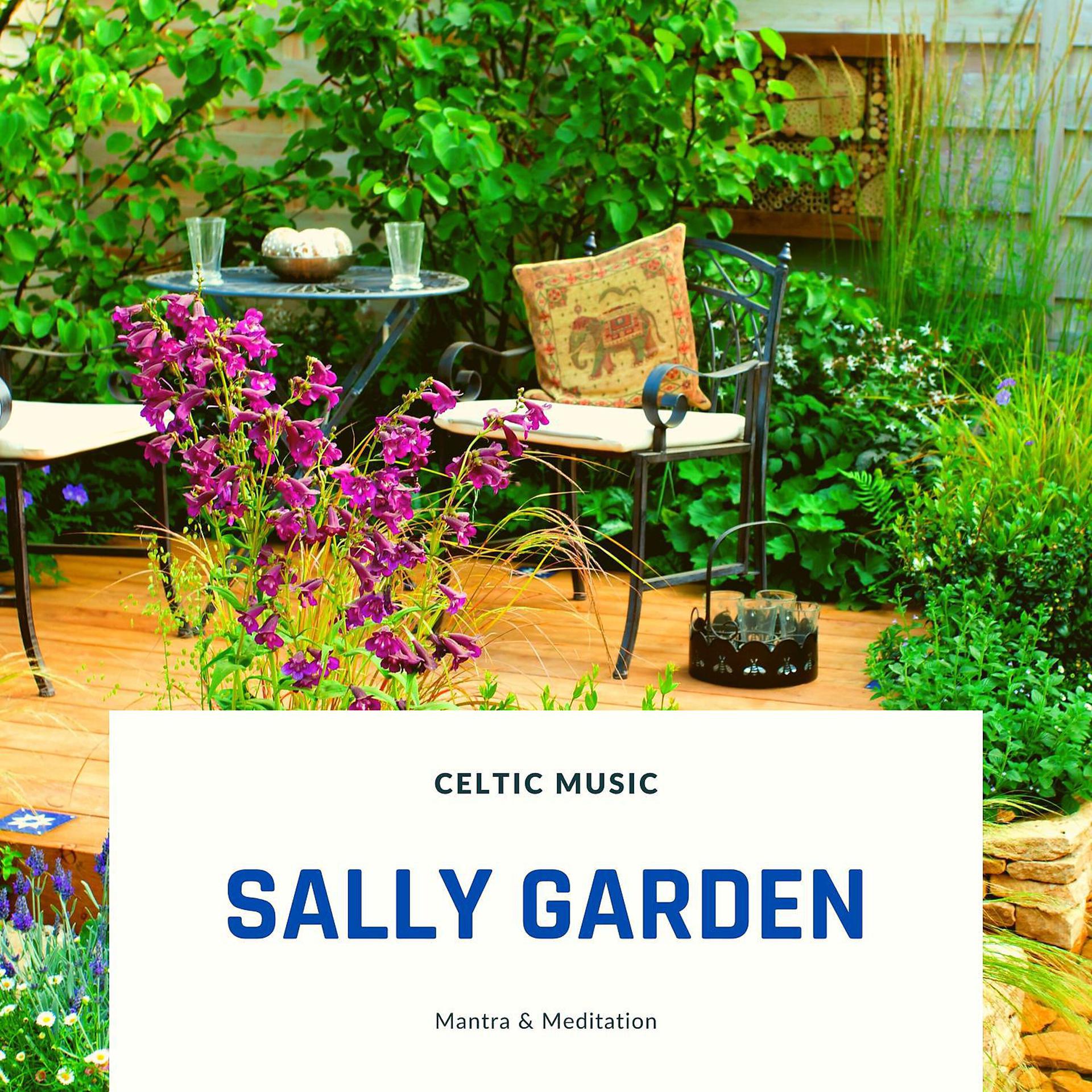 Постер альбома Sally Garden - Celtic Music