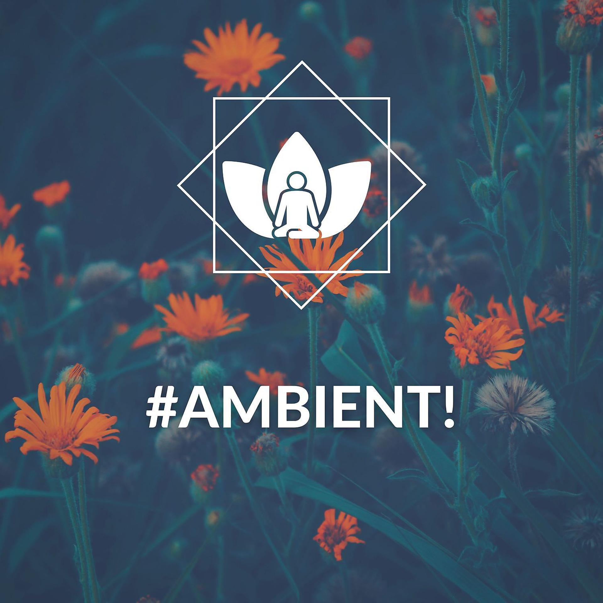 Постер альбома #Ambient!