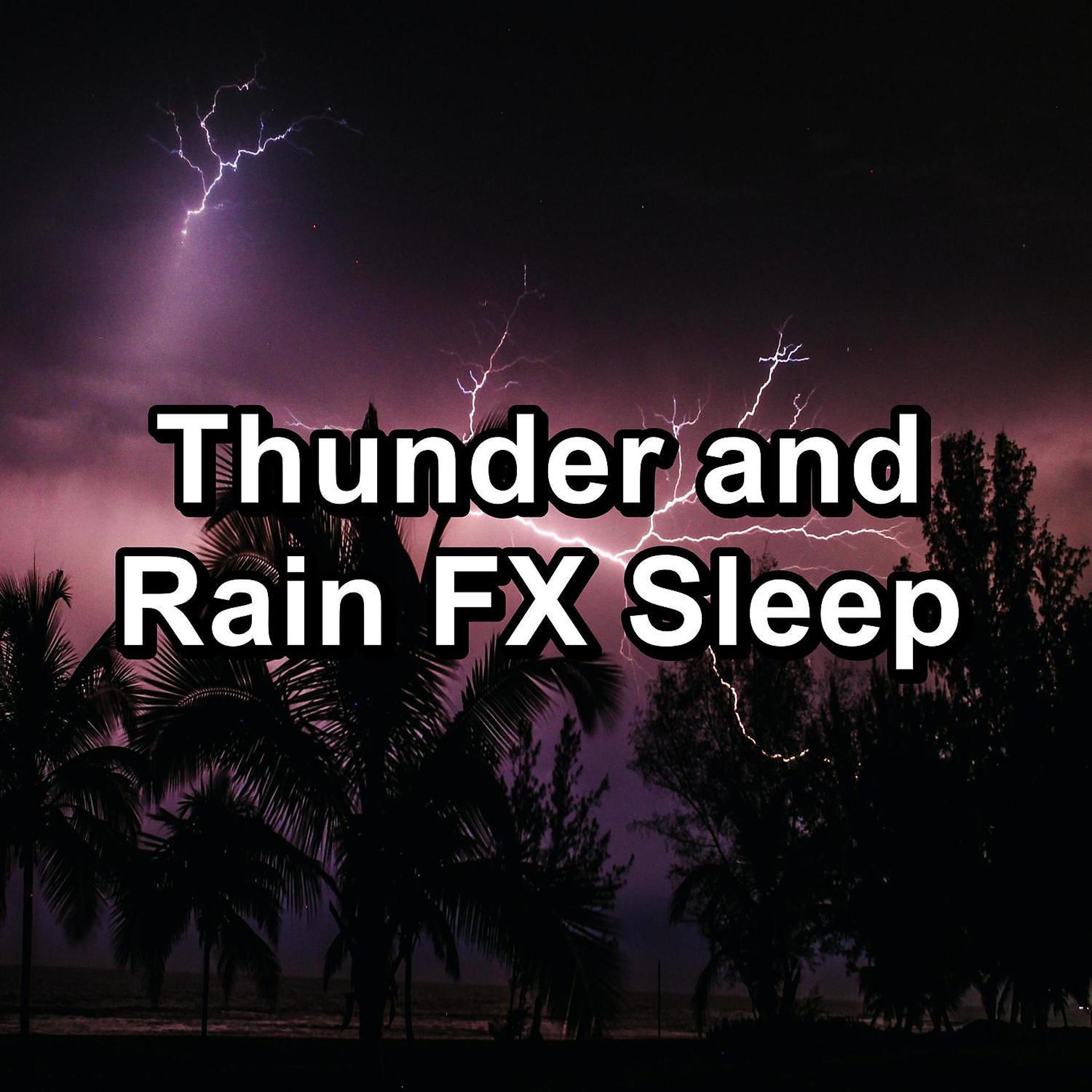 Постер альбома Thunder and Rain FX Sleep