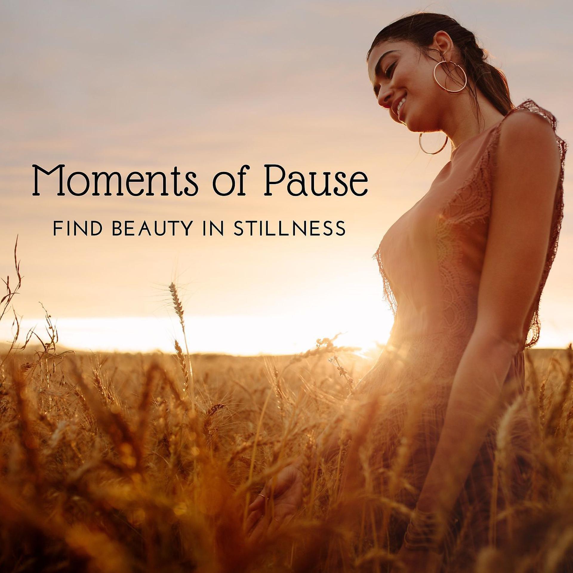 Постер альбома Moments of Pause - Find Beauty in Stillness