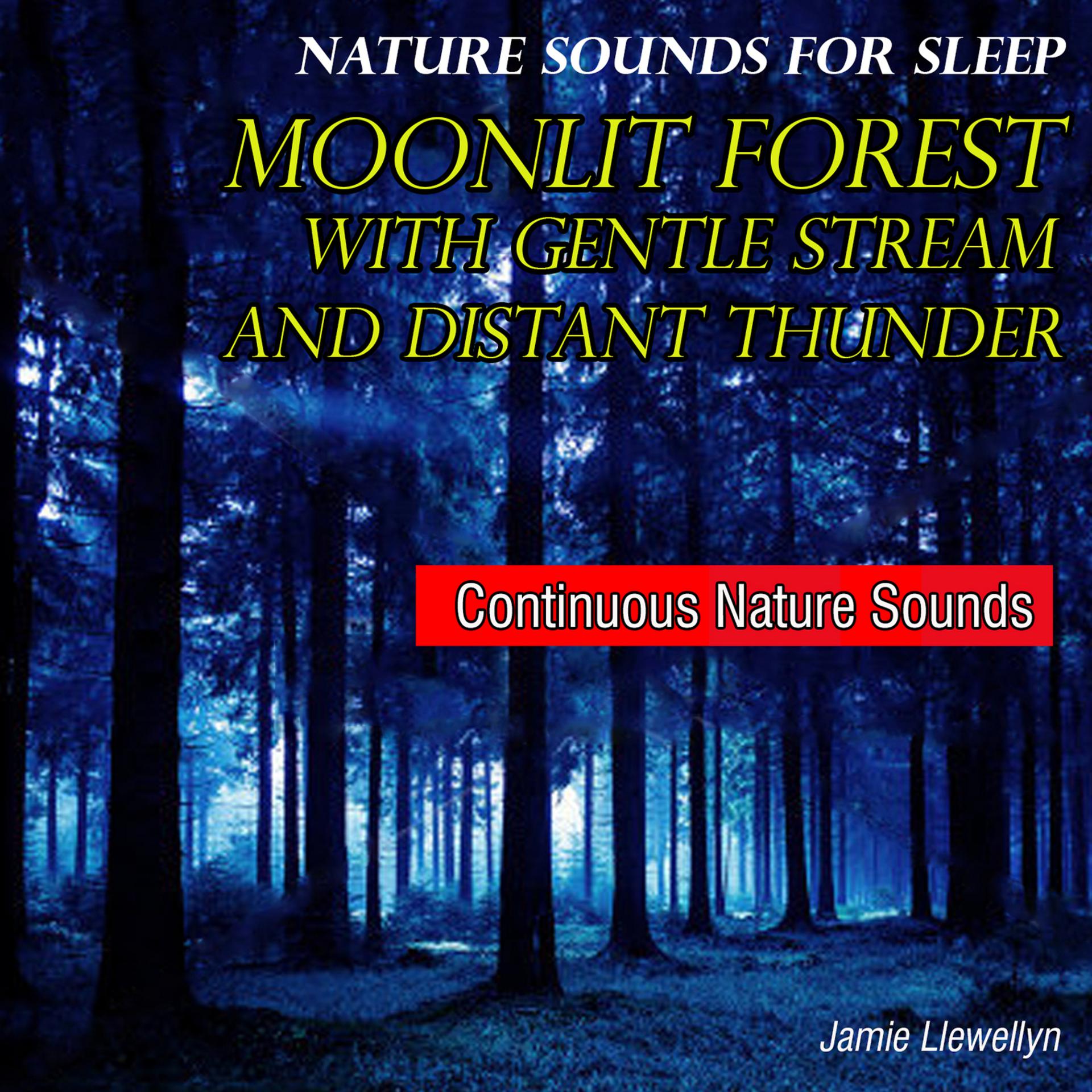 Постер альбома Nature Sounds for Sleep: Moonlit Forest with Gentle Stream and Distant Thunder