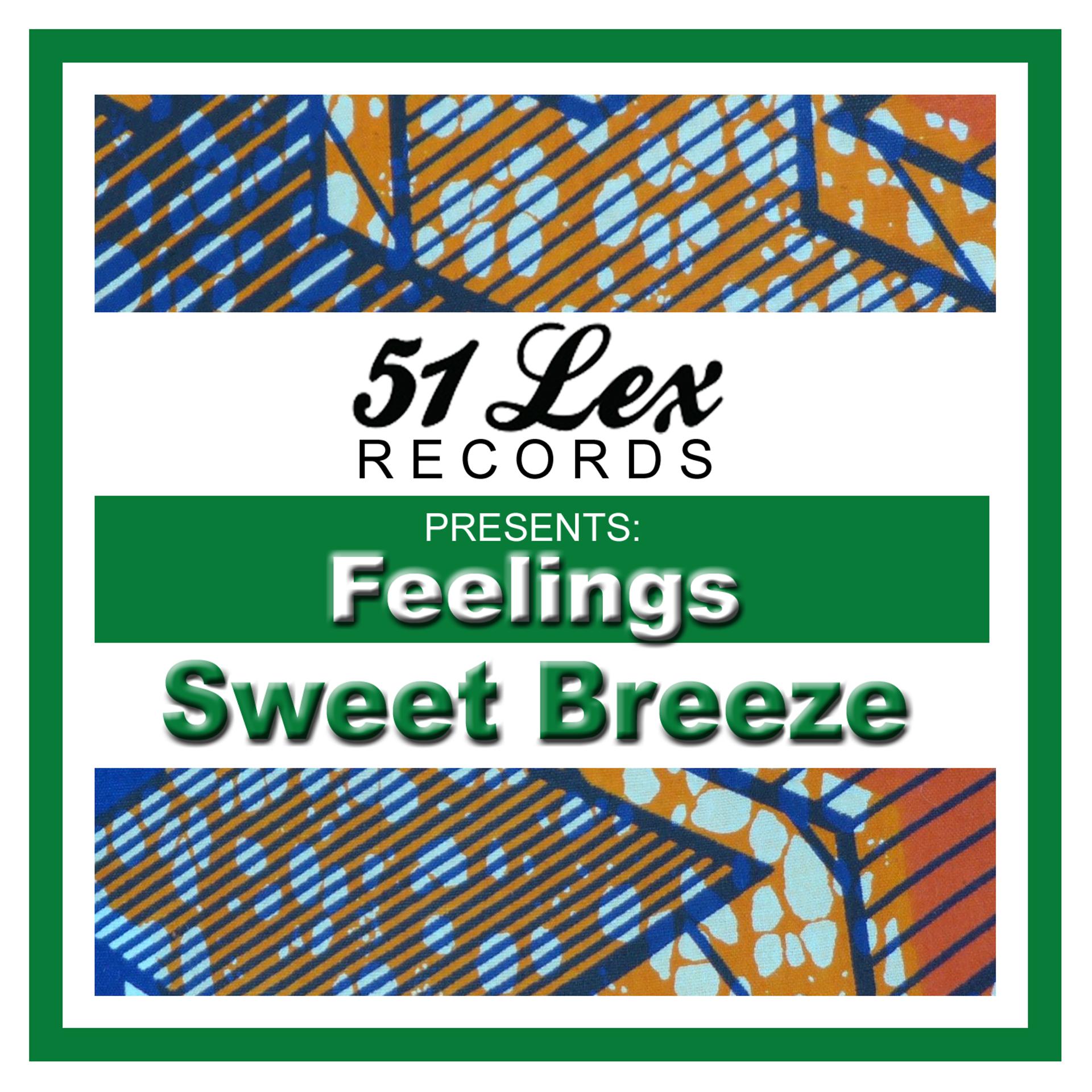 Постер альбома 51 Lex Presents Feelings