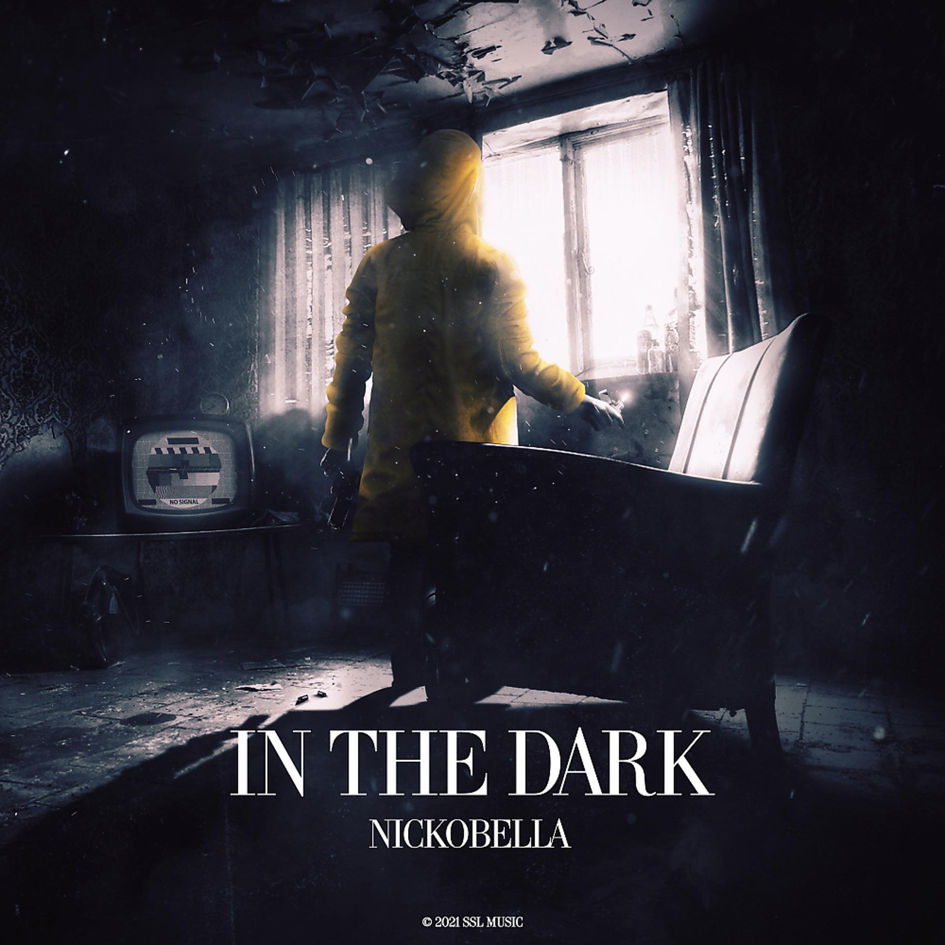 Постер альбома In The Dark