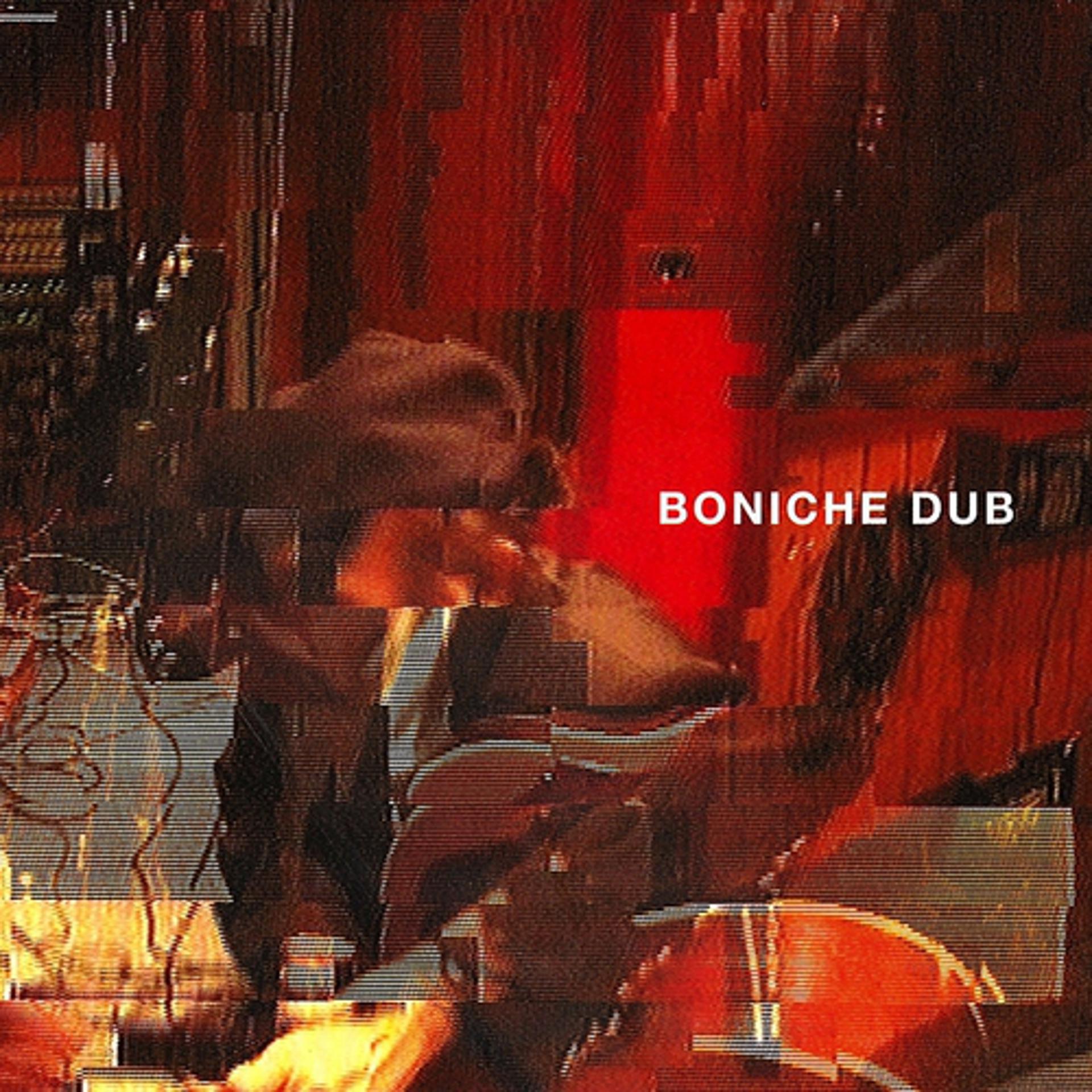 Постер альбома A.P.C. Presents: Boniche Dub