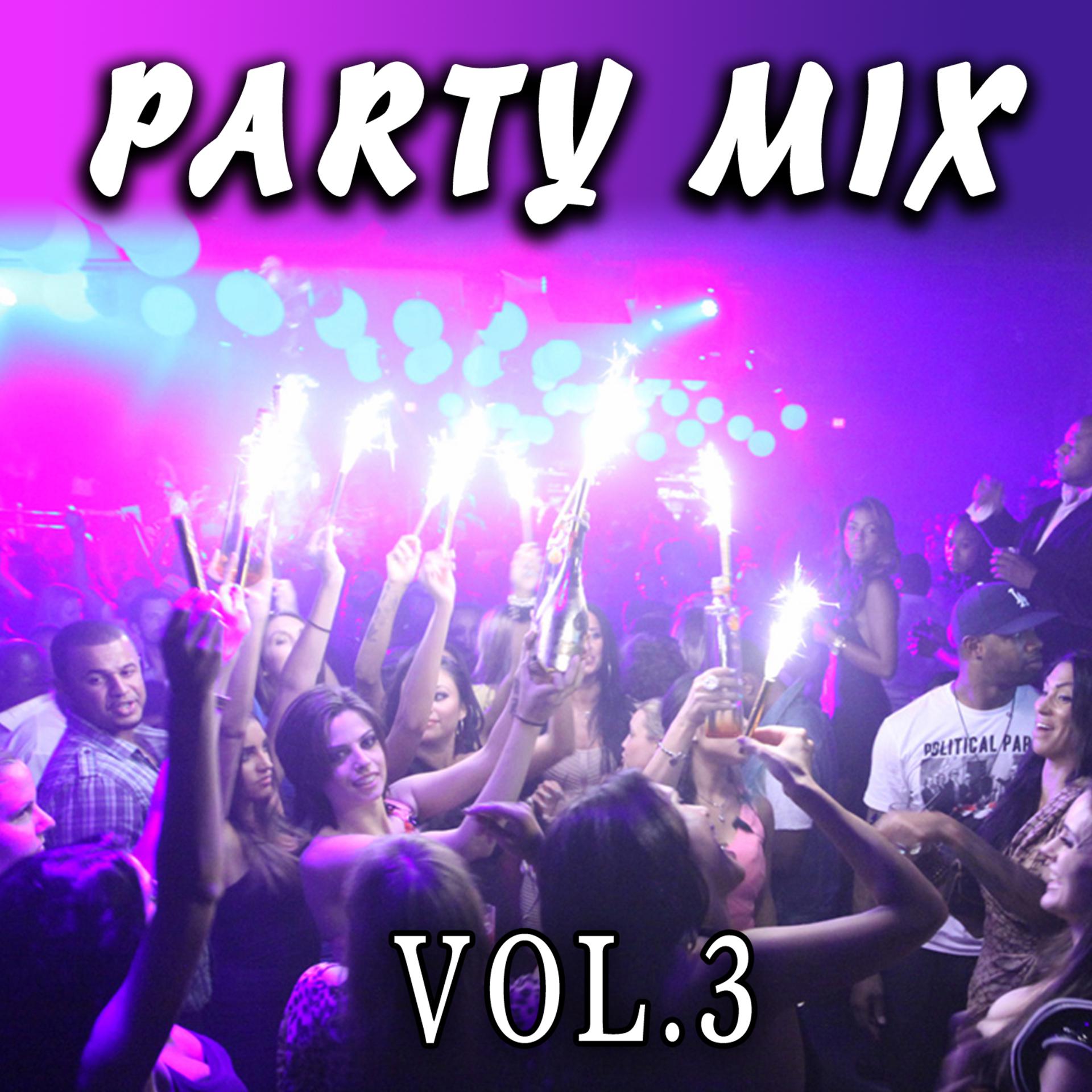 Постер альбома Party Mix, Vol. 3