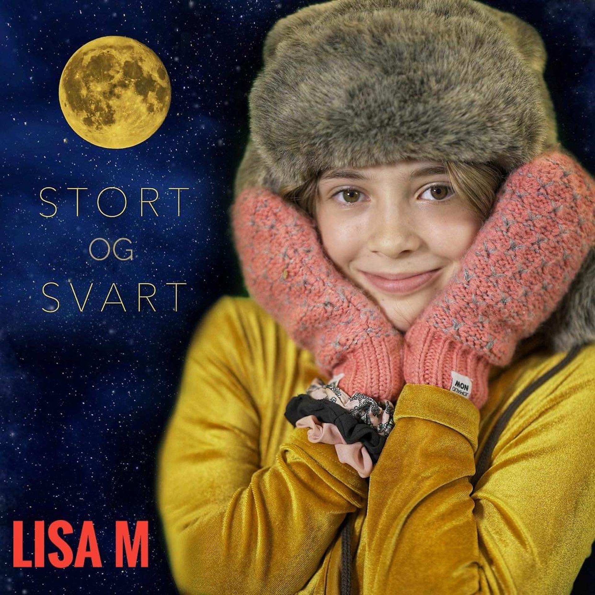 Постер альбома Stort Og Svart