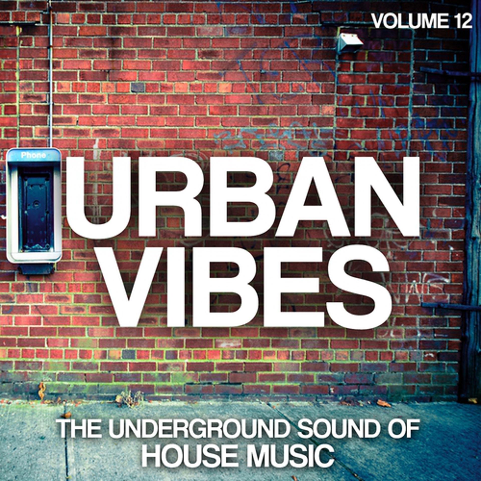 Постер альбома Urban Vibes: The Underground Sound of House Music, Vol. 12