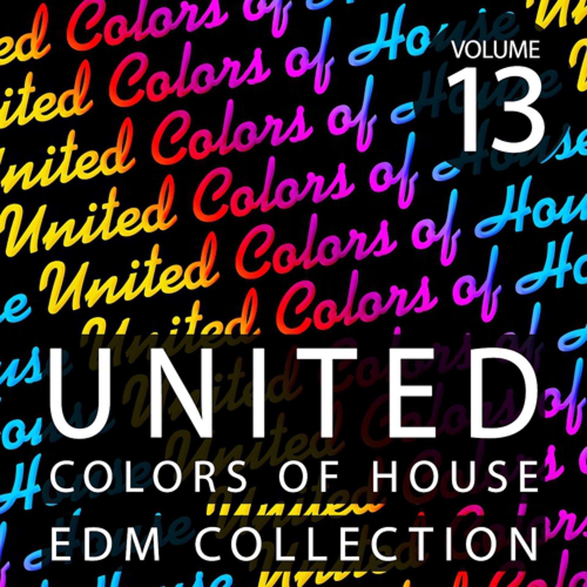 Постер альбома United Colors of House, Vol. 13
