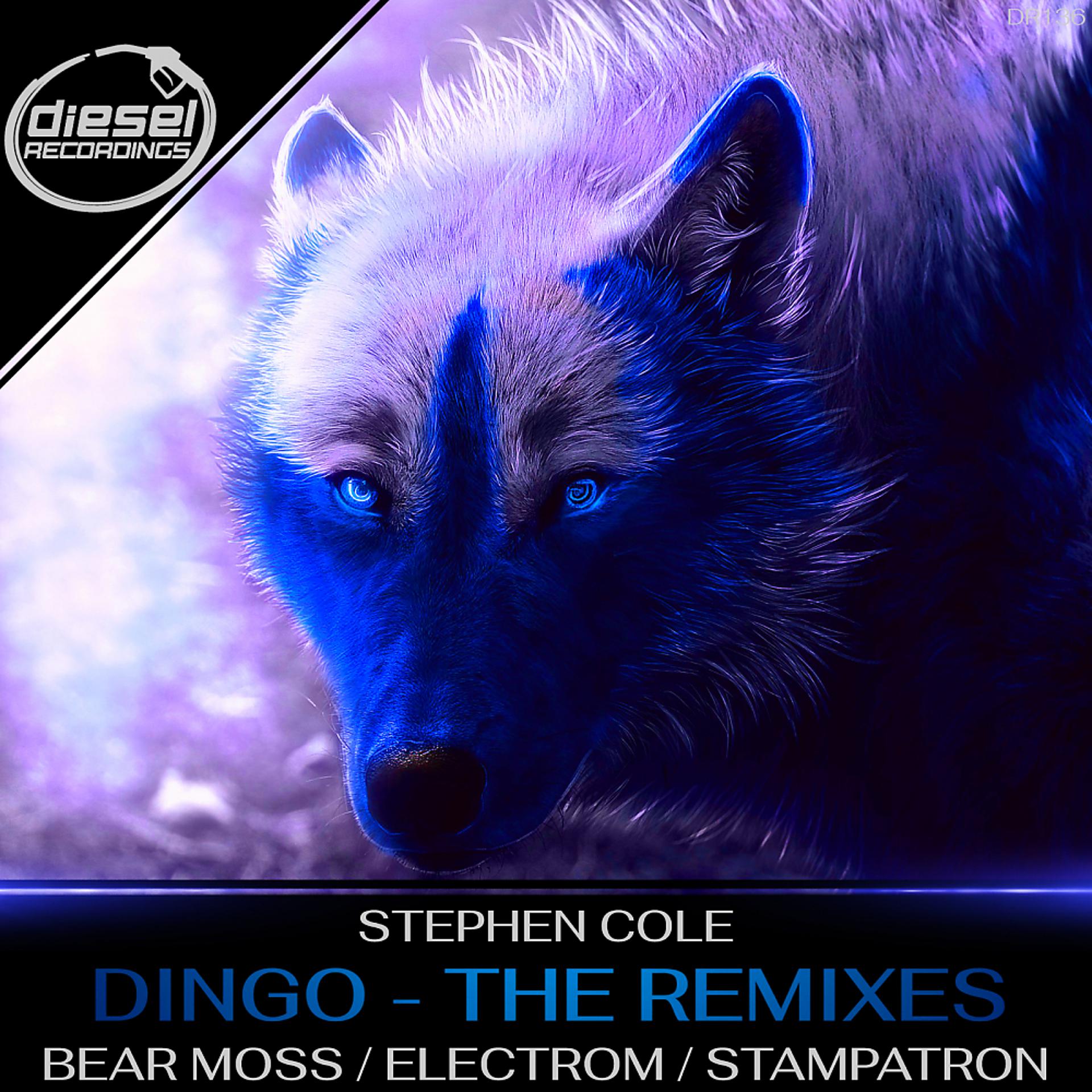 Постер альбома Dingo - The Remixes