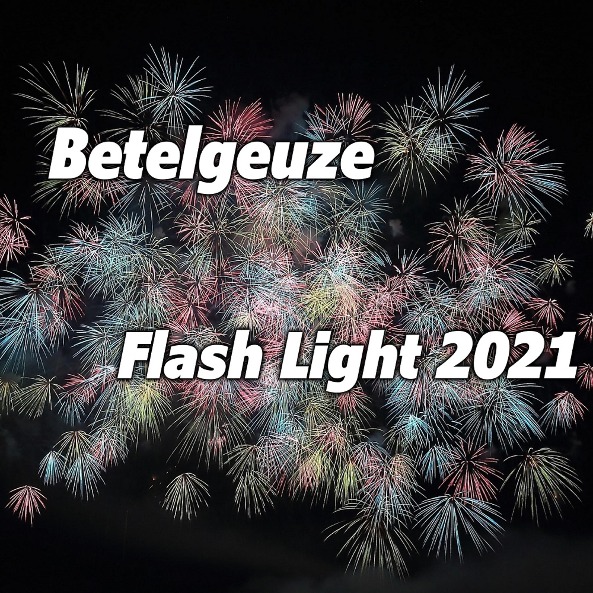 Постер альбома Flash Light 2021