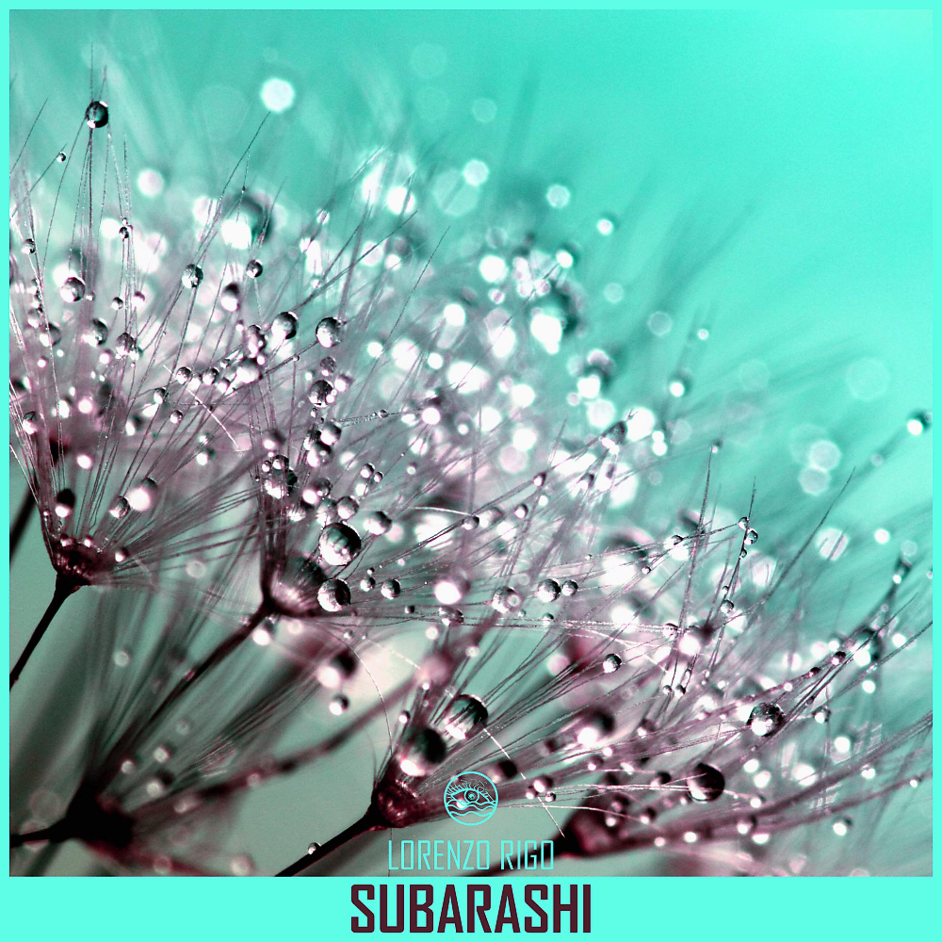 Постер альбома Subarashi