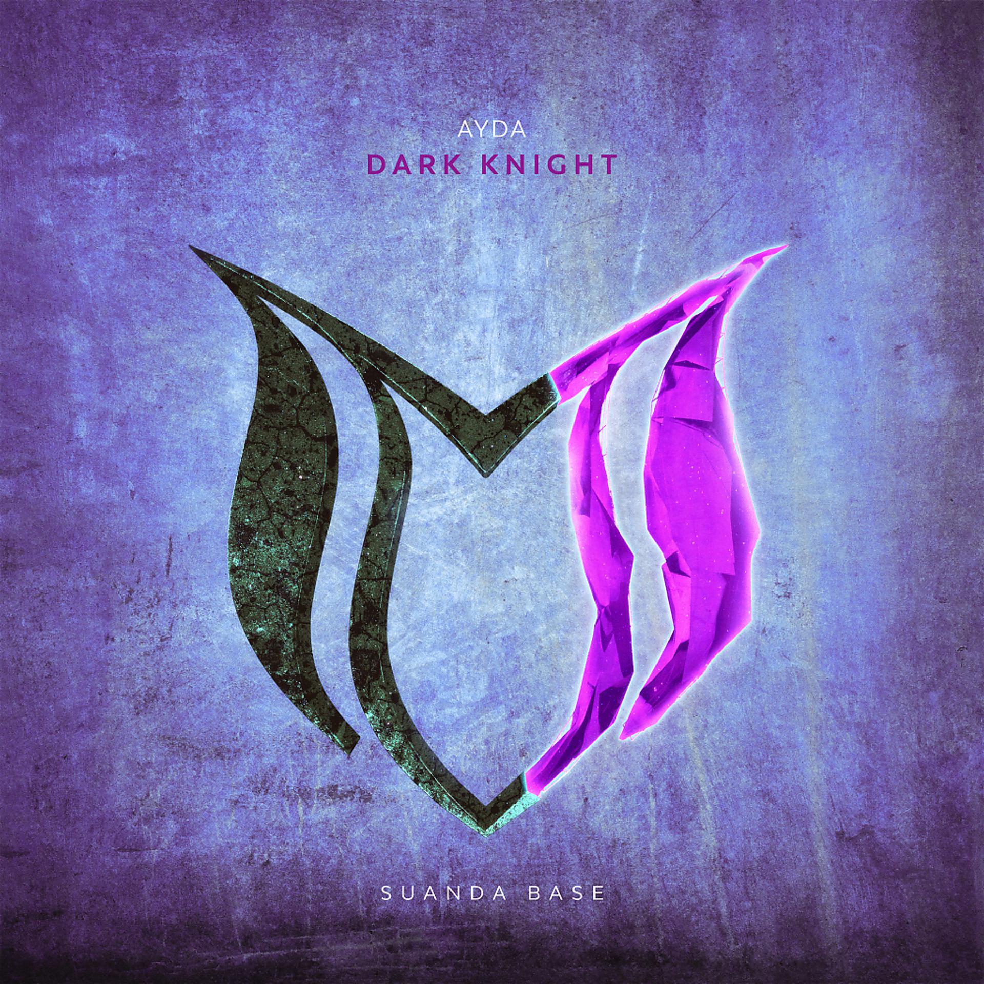 Постер альбома Dark Knight