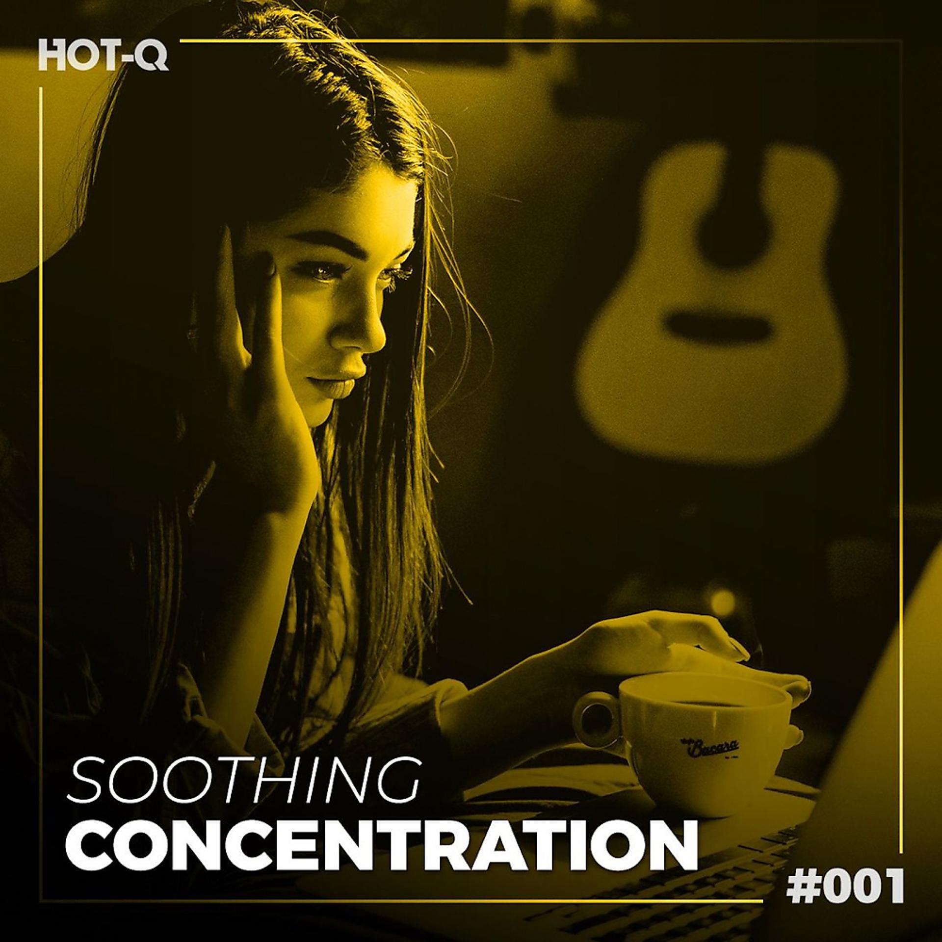 Постер альбома Soothing Concentration 001