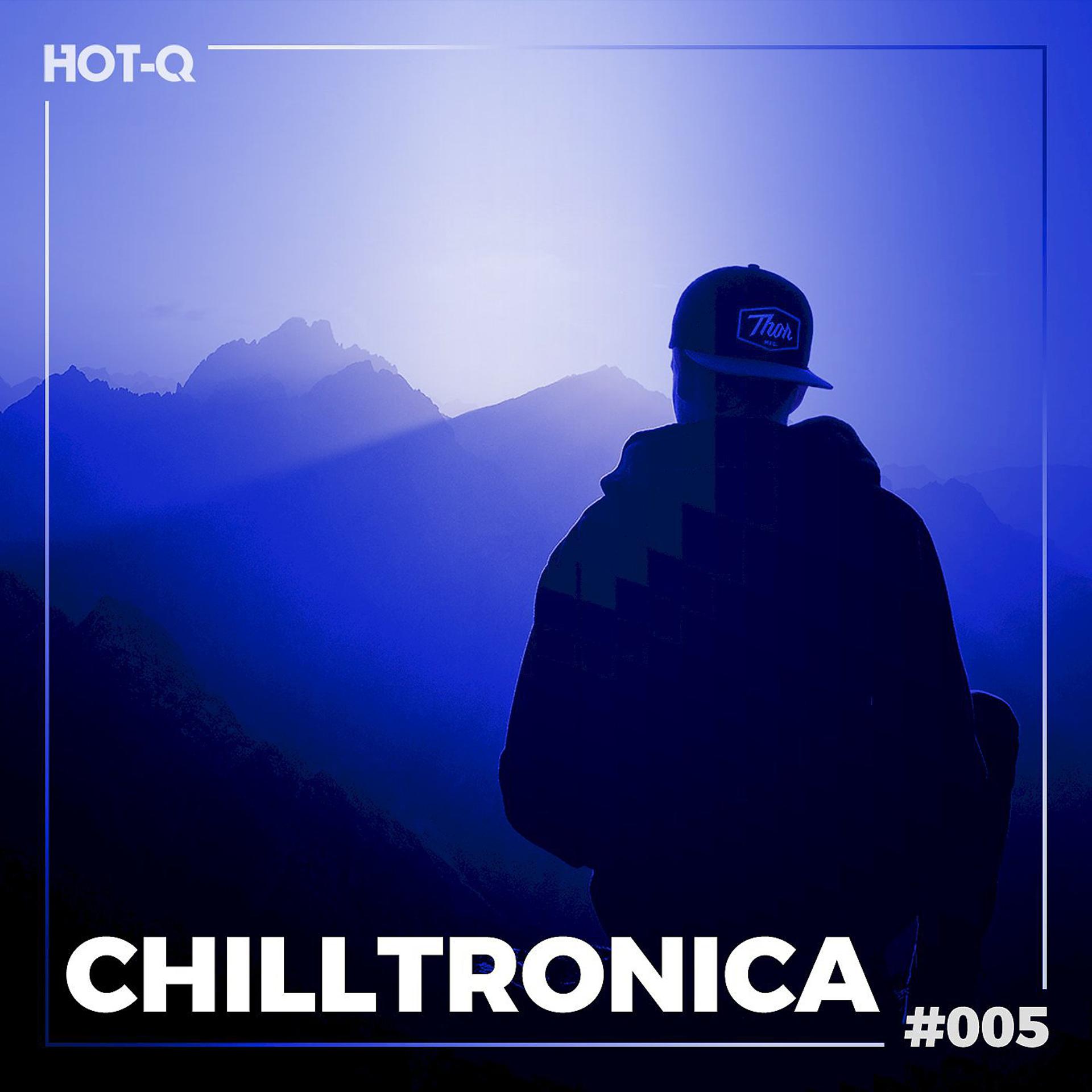 Постер альбома Chilltronica 005