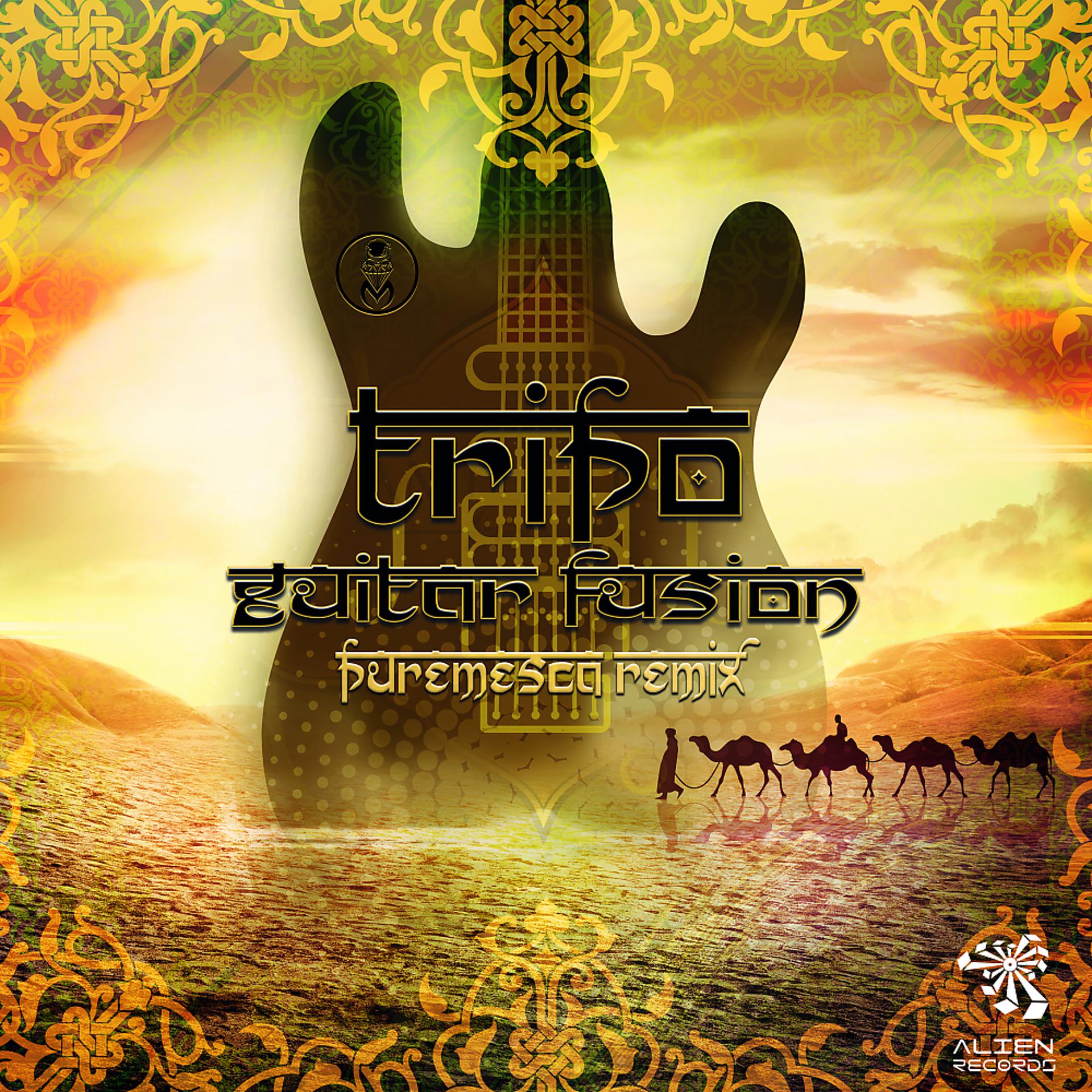 Постер альбома Guitar Fusion