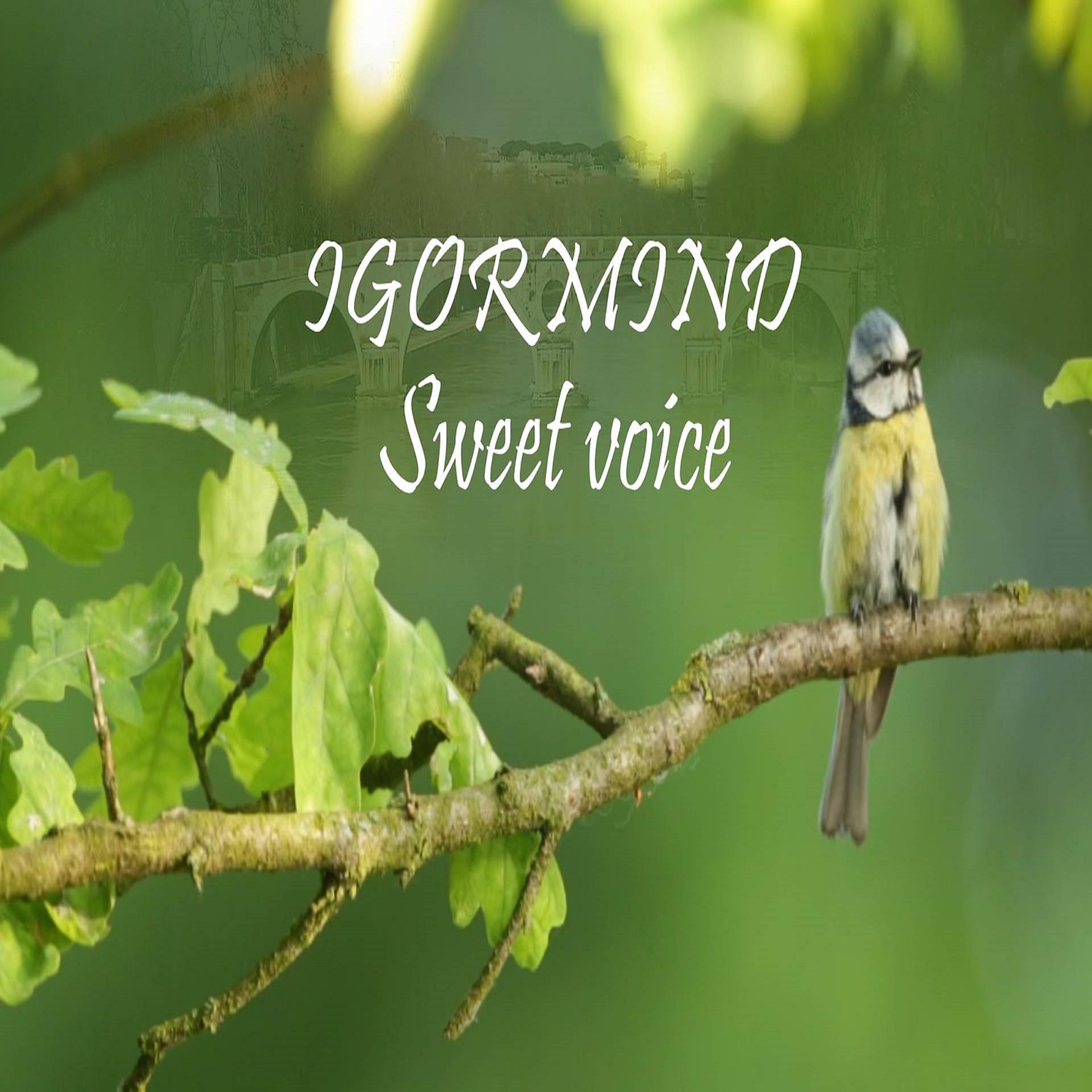 Постер альбома Sweet Voice