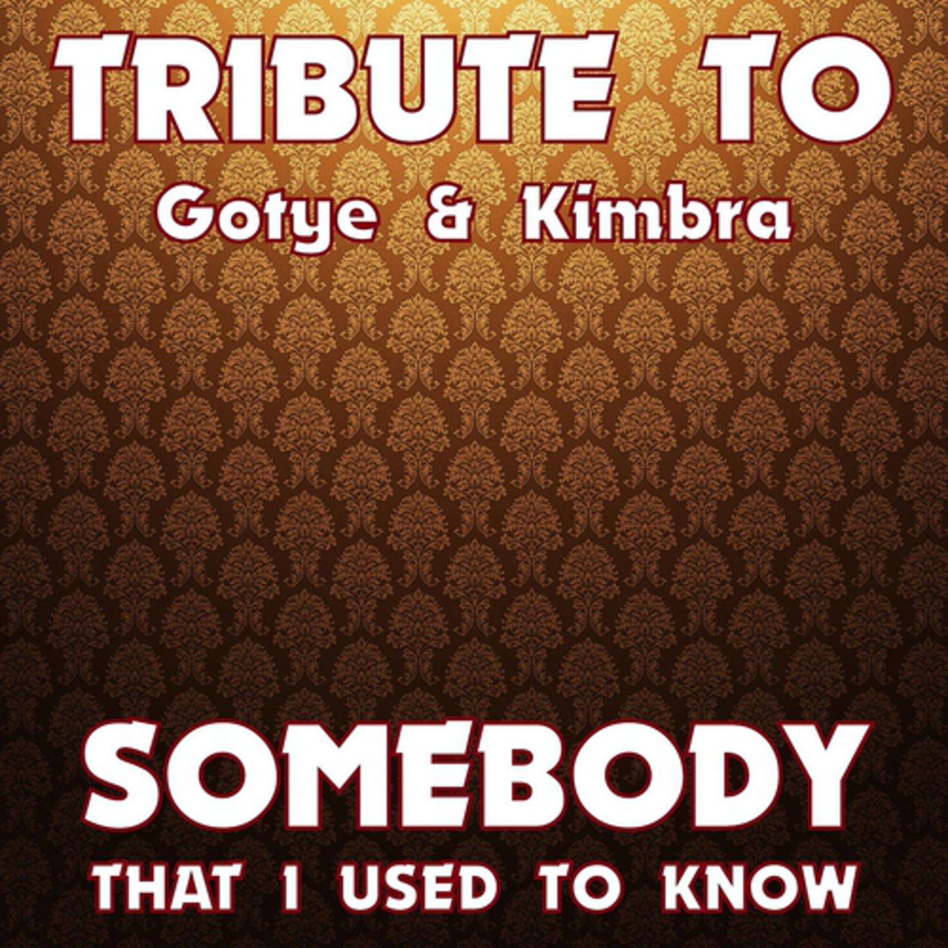 Постер альбома Somebody That I Used to Know (Tribute to Gotye & Kimbra)