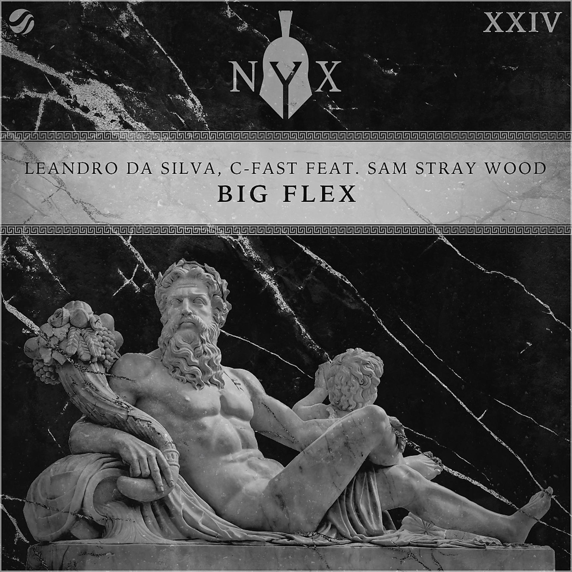 Постер альбома Big Flex