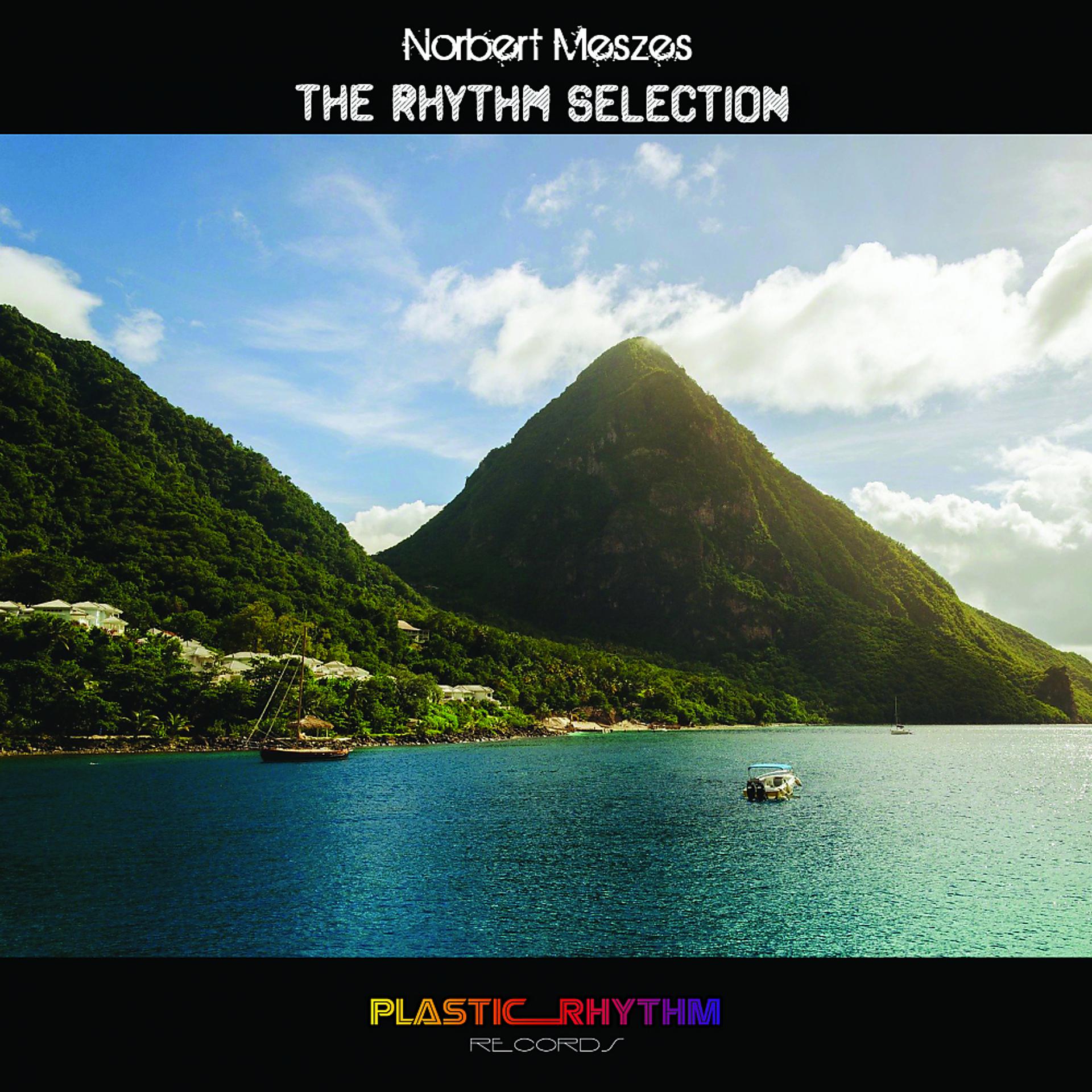 Постер альбома The Rhythm Selection
