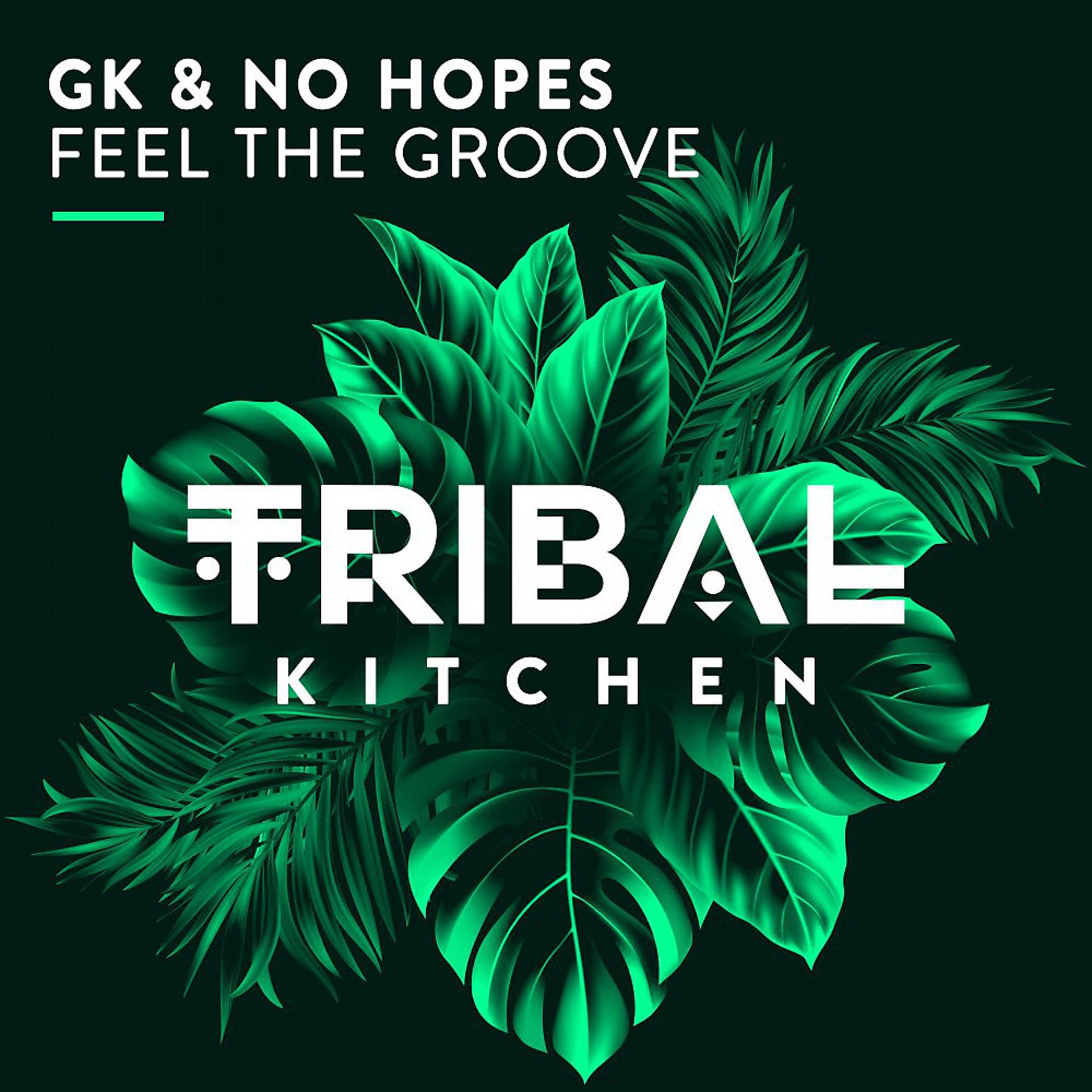 Постер альбома Feel the Groove (Radio Edit)