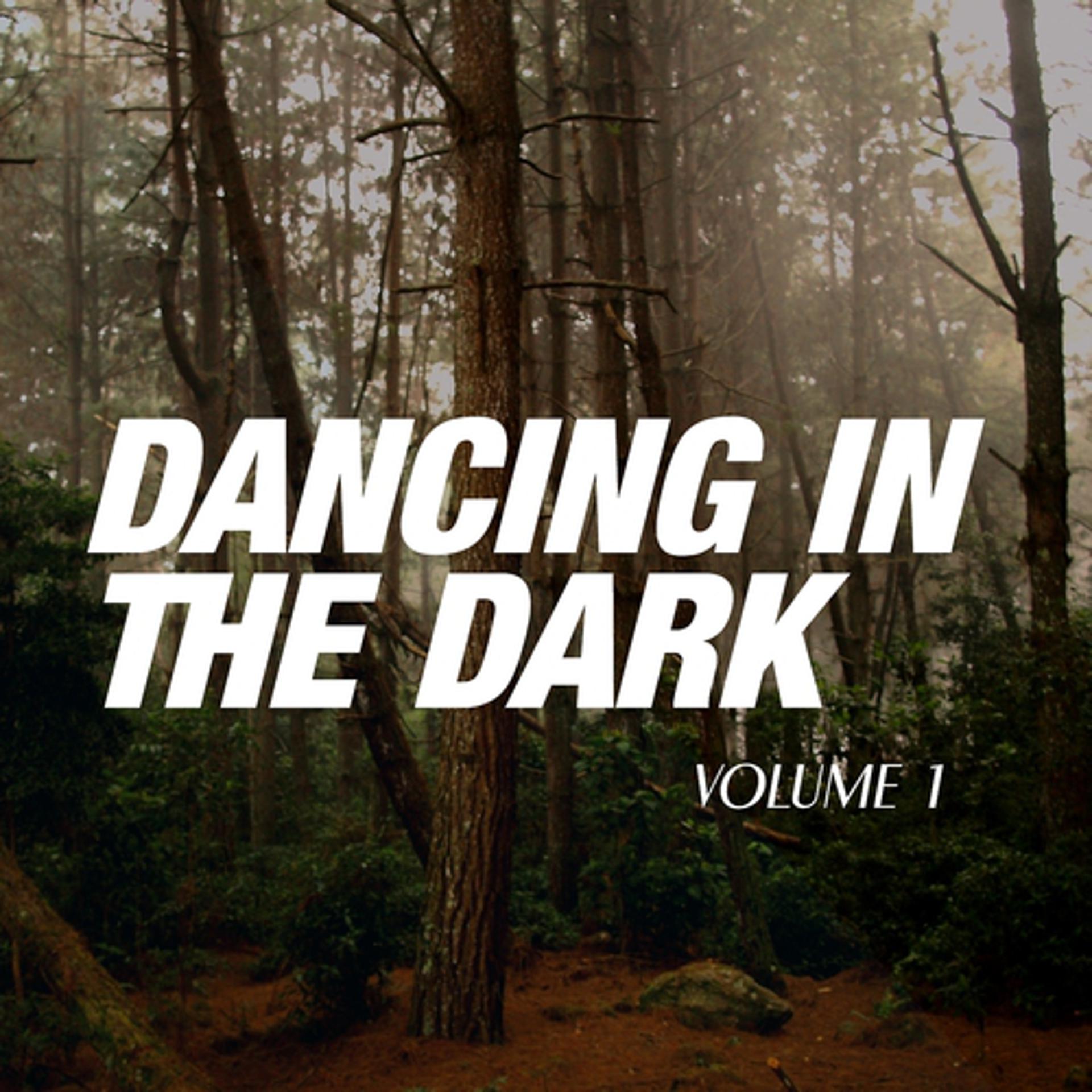 Постер альбома Dancing in the Dark, Vol. 1