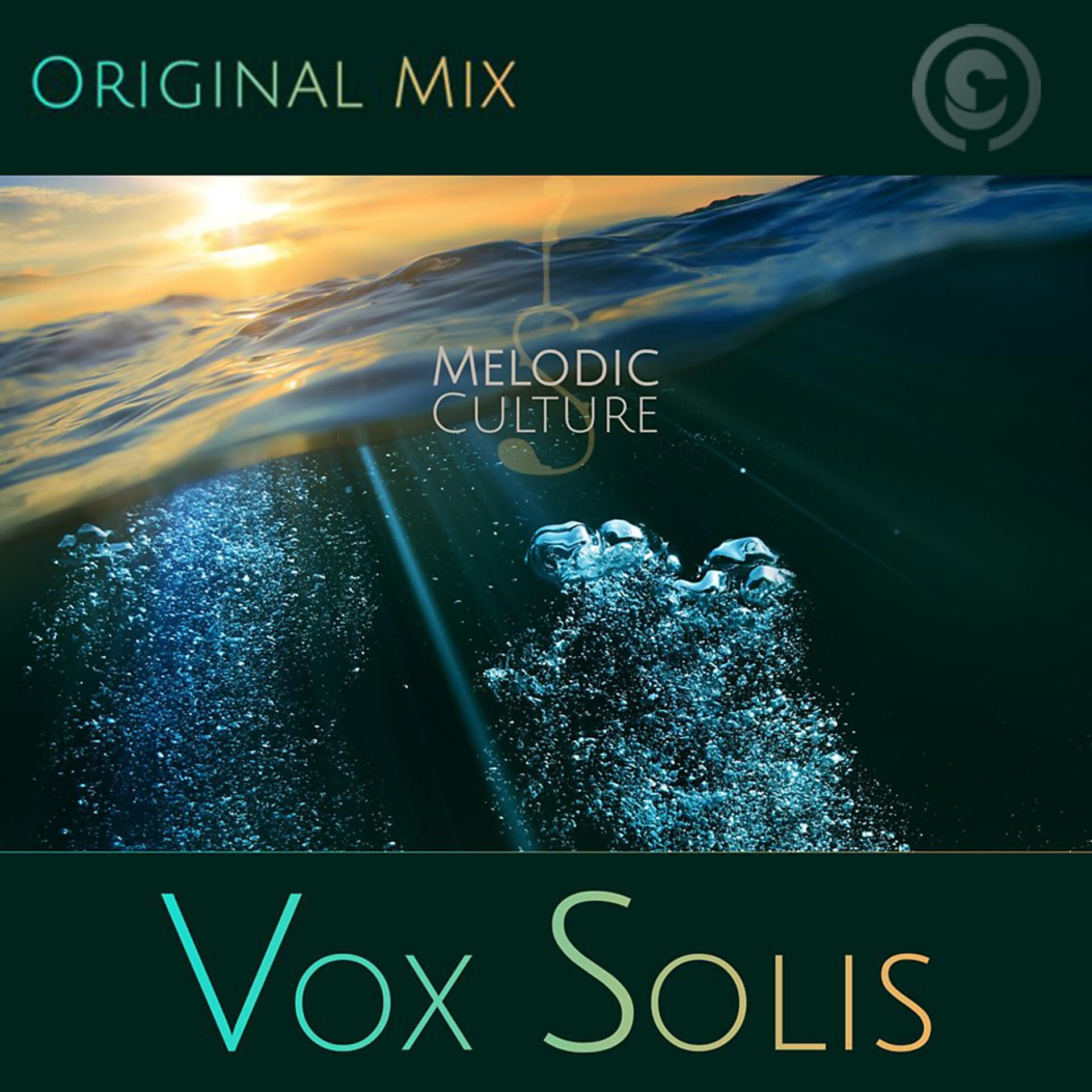 Постер альбома Vox Solis