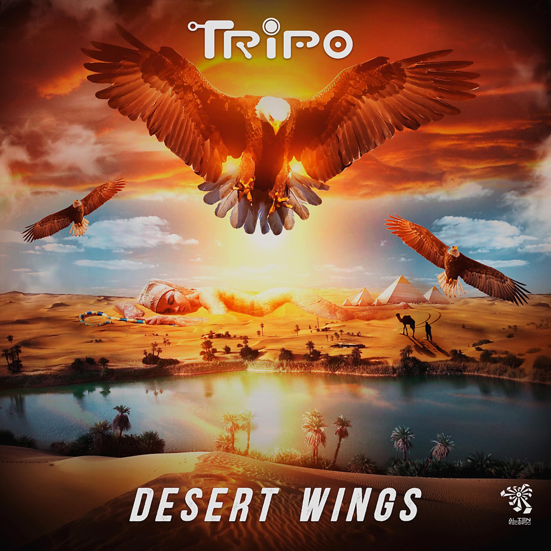 Постер альбома Desert Wings