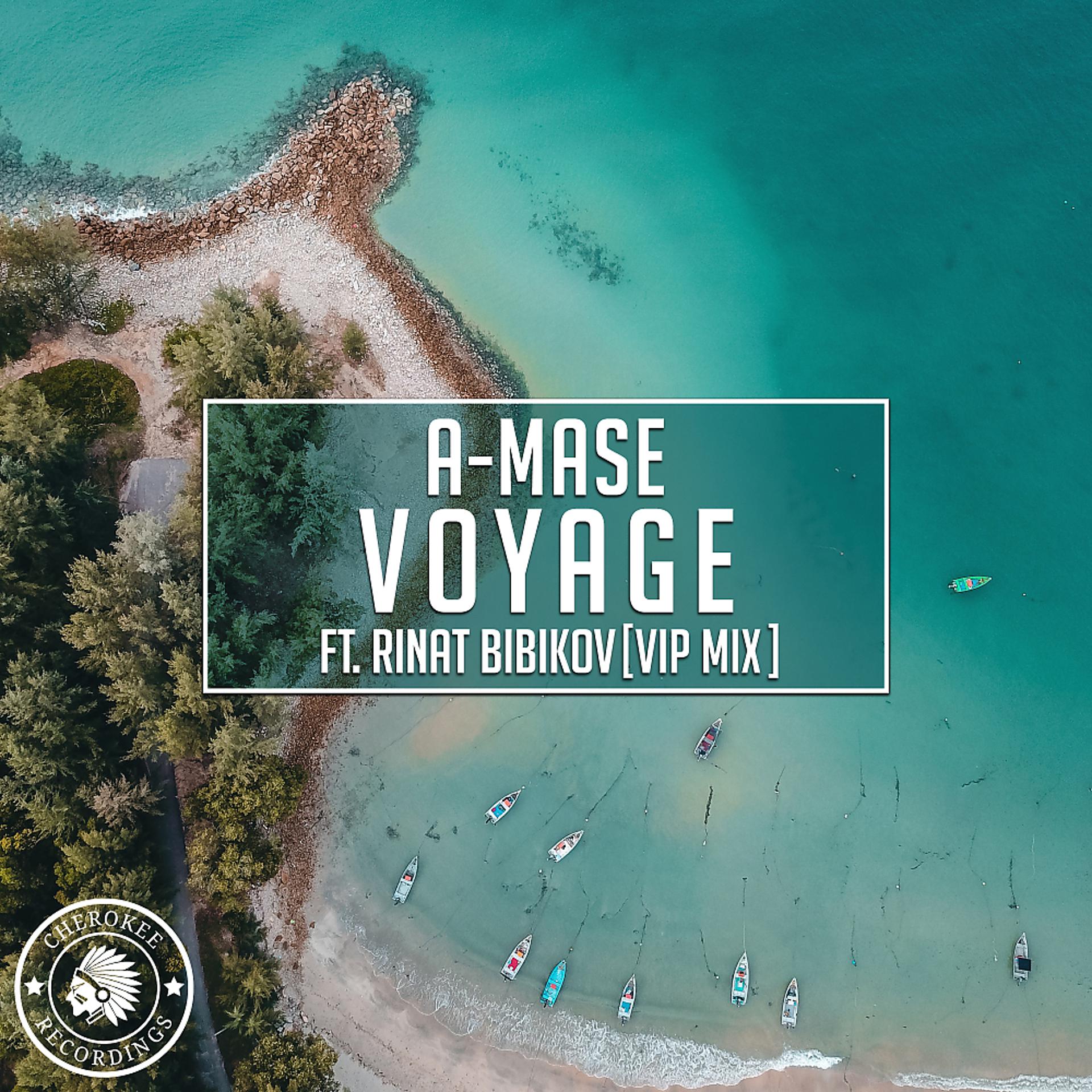 Постер альбома Voyage (VIP Mix)