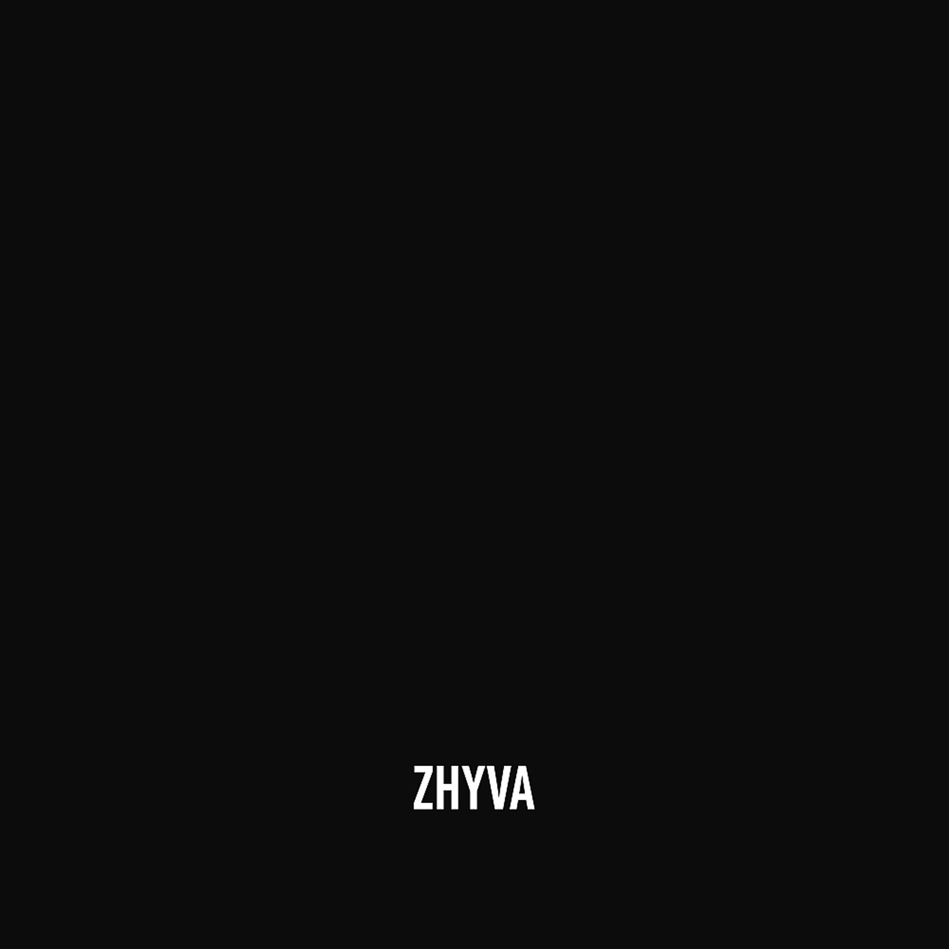 Постер альбома Zhyva Remix