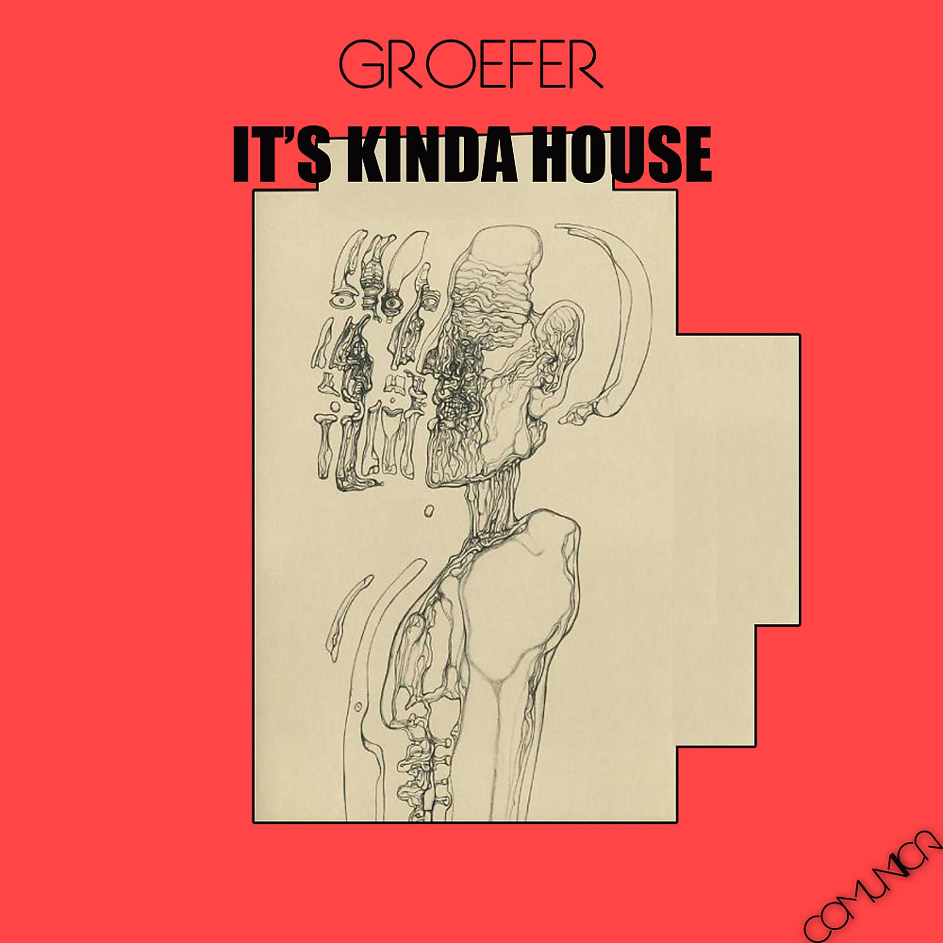 Постер альбома It's Kinda House