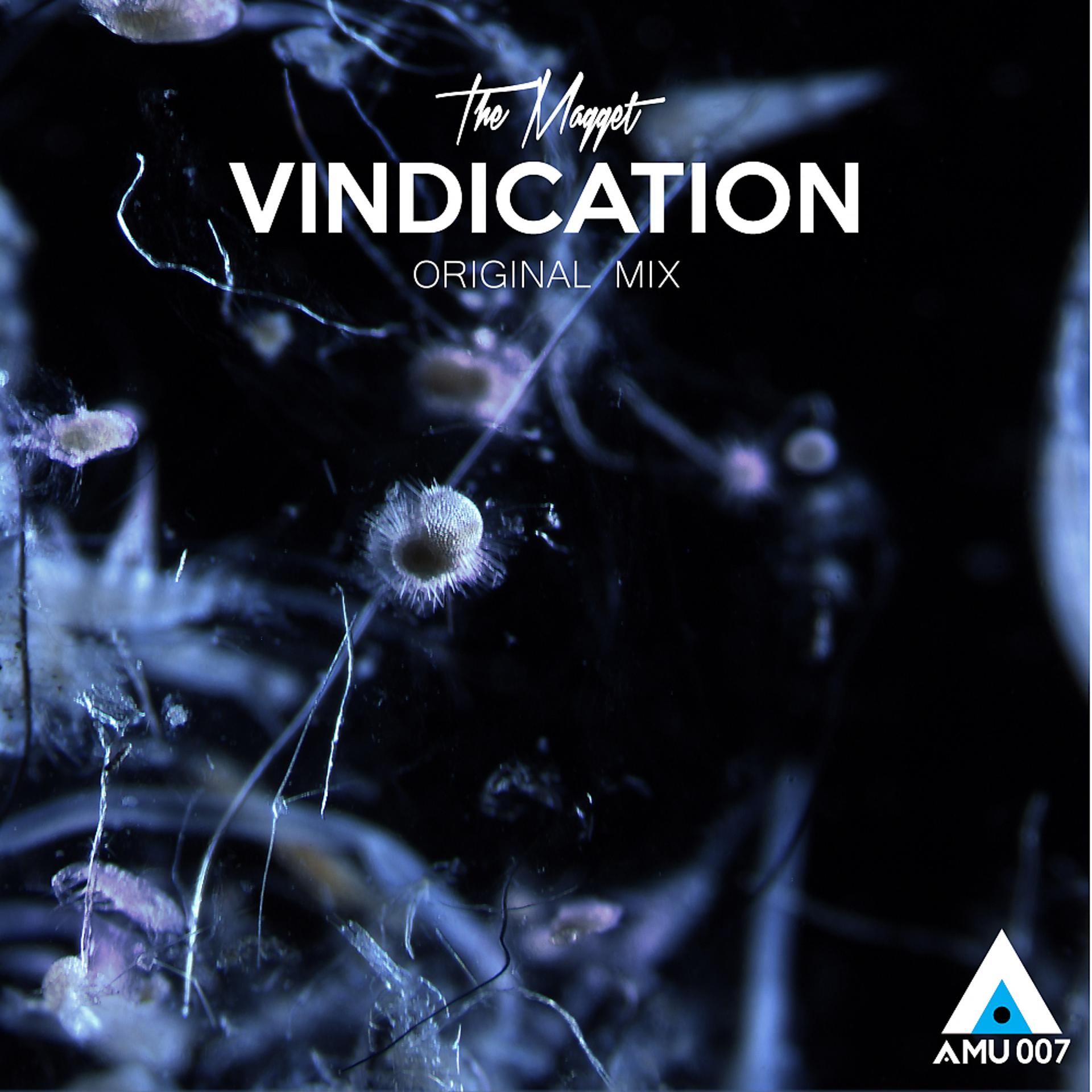 Постер альбома Vindication