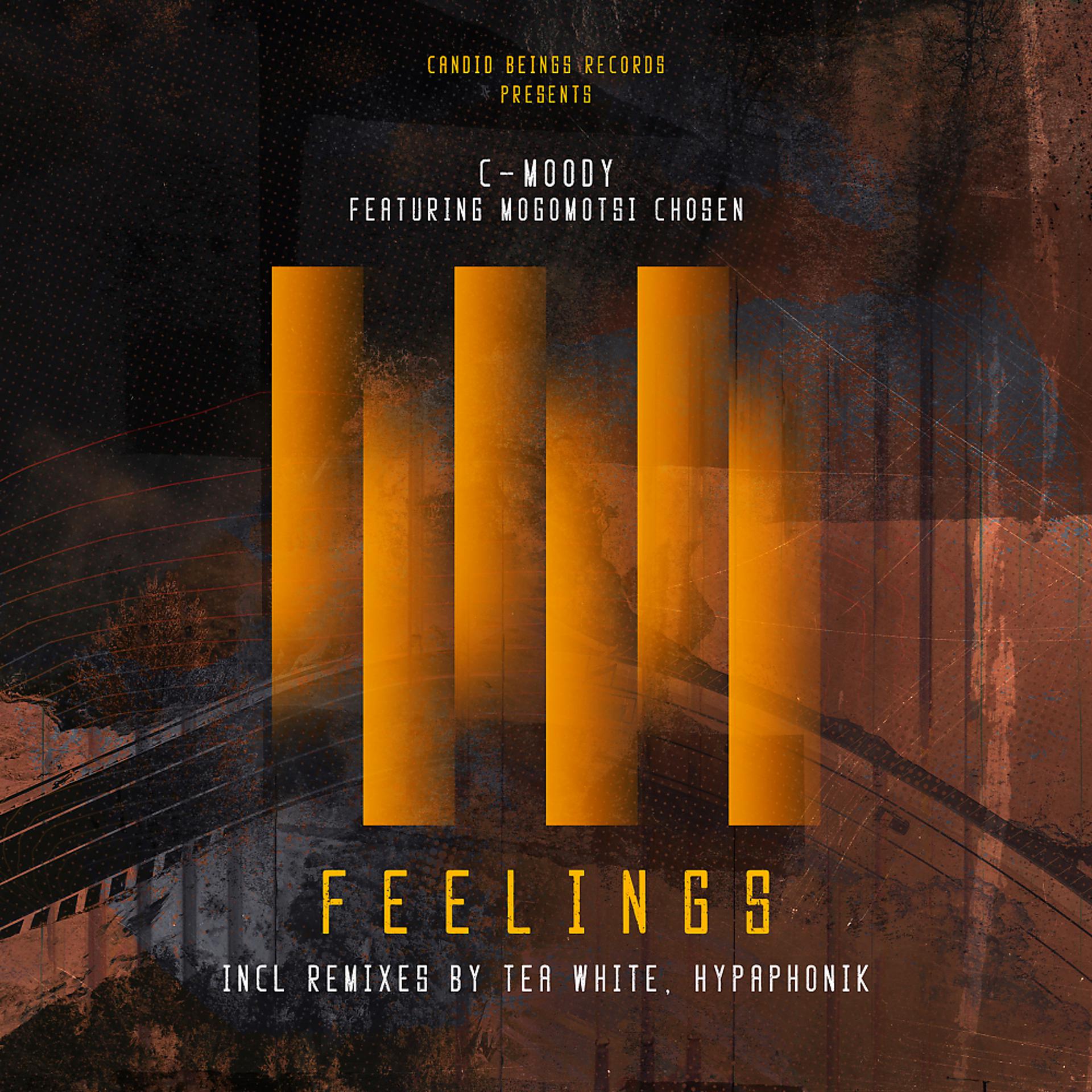 Постер альбома Feelings (Incl.Remixes)