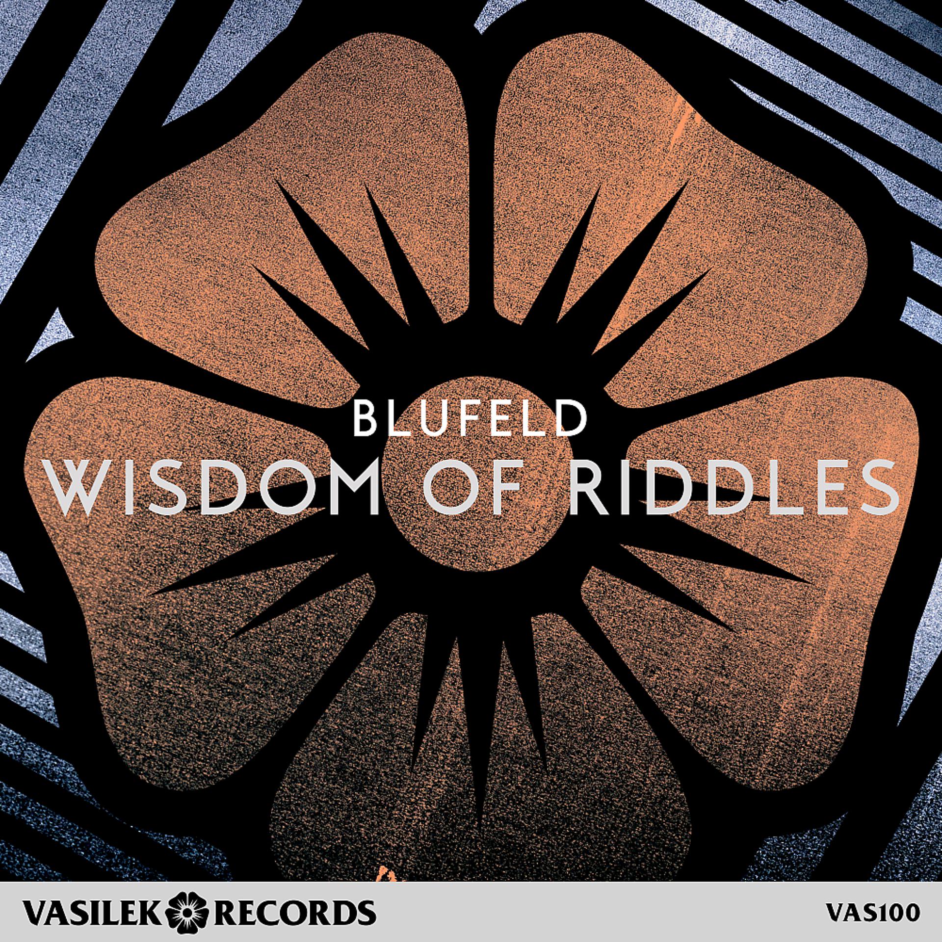 Постер альбома Wisdom of Riddles
