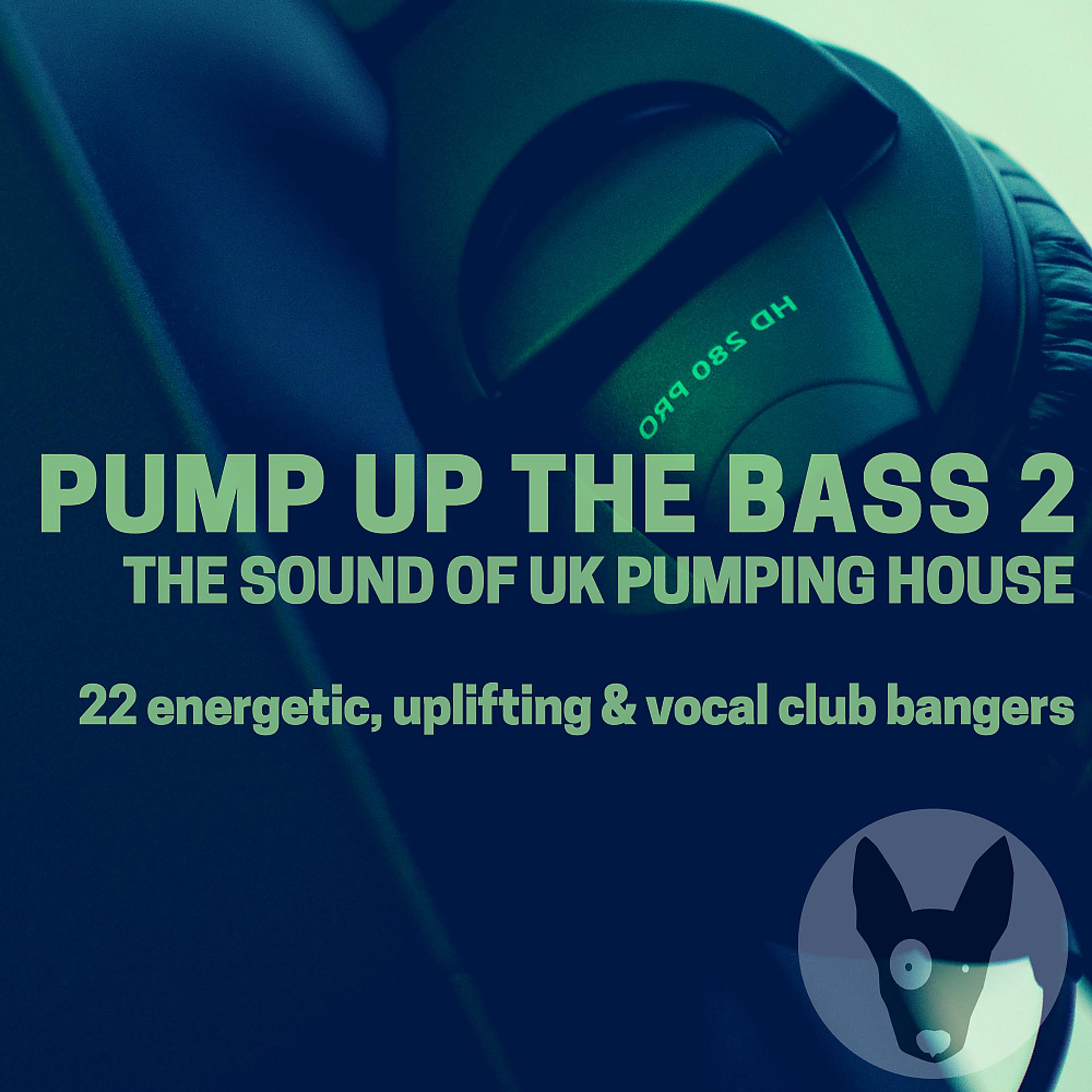 Постер альбома Pump Up The Bass 2: The Sound Of UK Pumping House