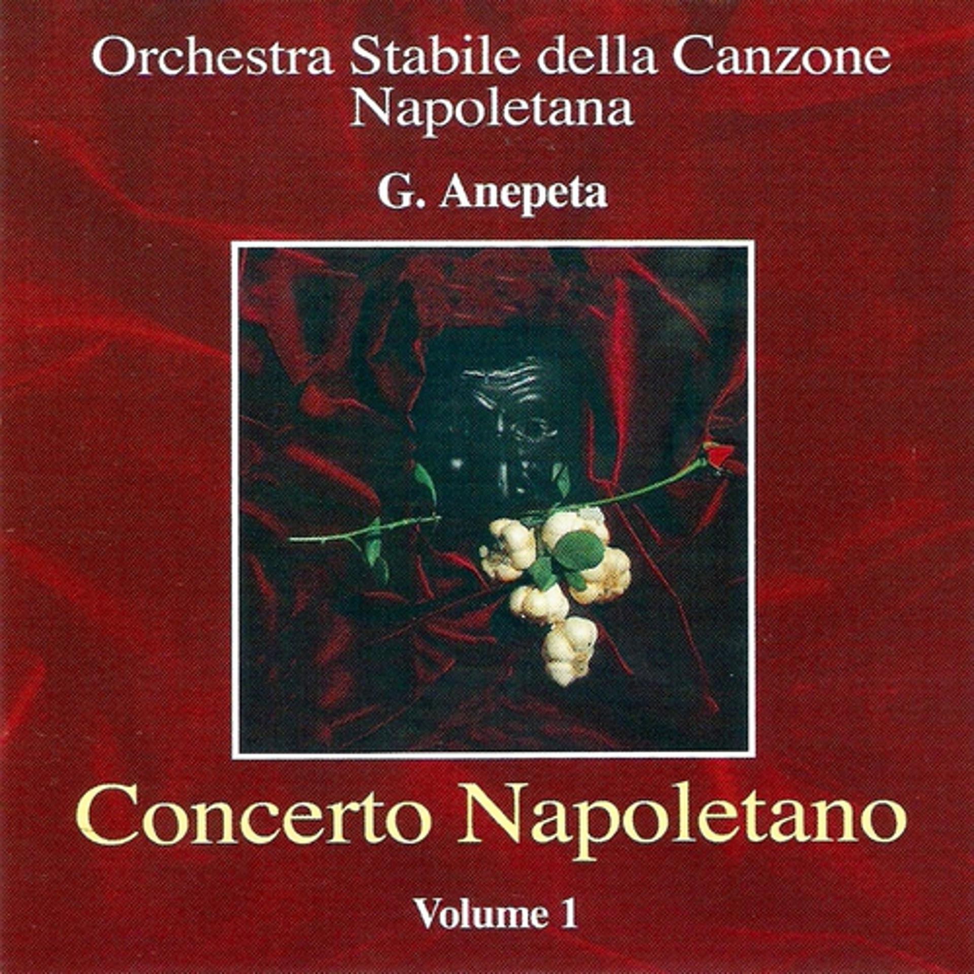 Постер альбома Concerto napoletano, vol. 1 (Best Neapolitan Classical Songs)