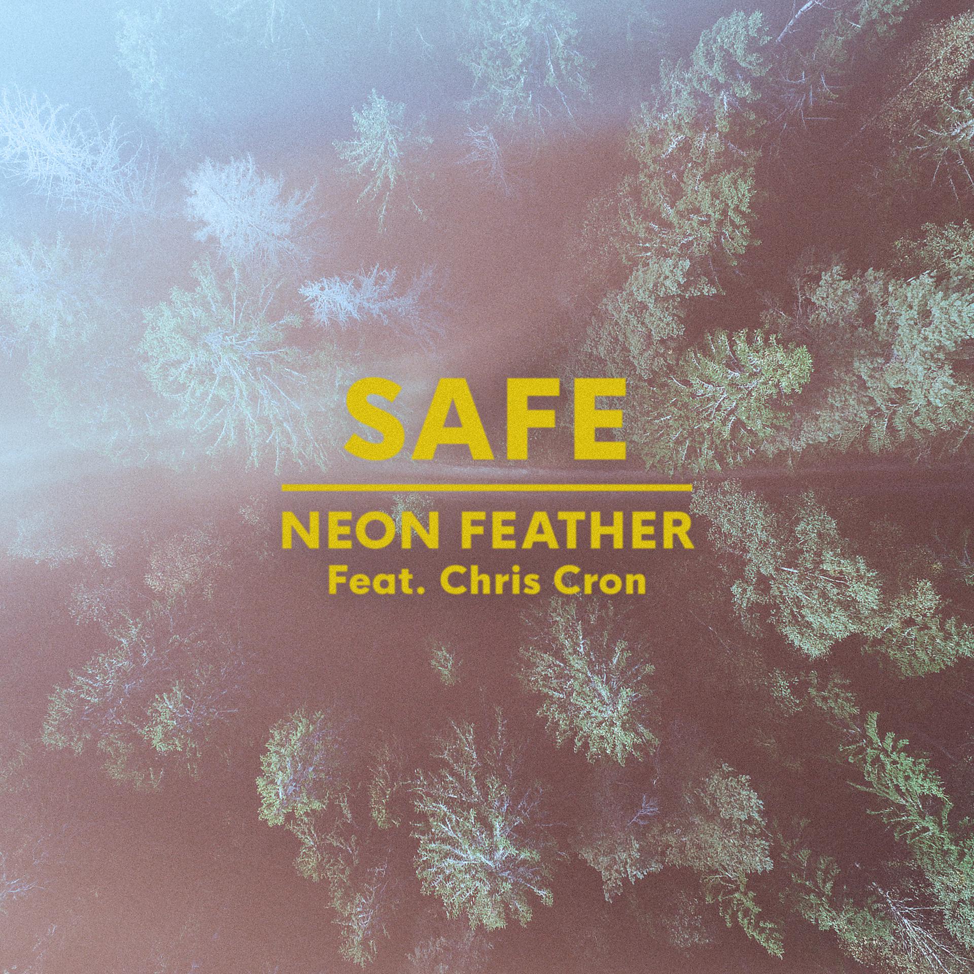Постер альбома Safe (feat. Chris Cron)