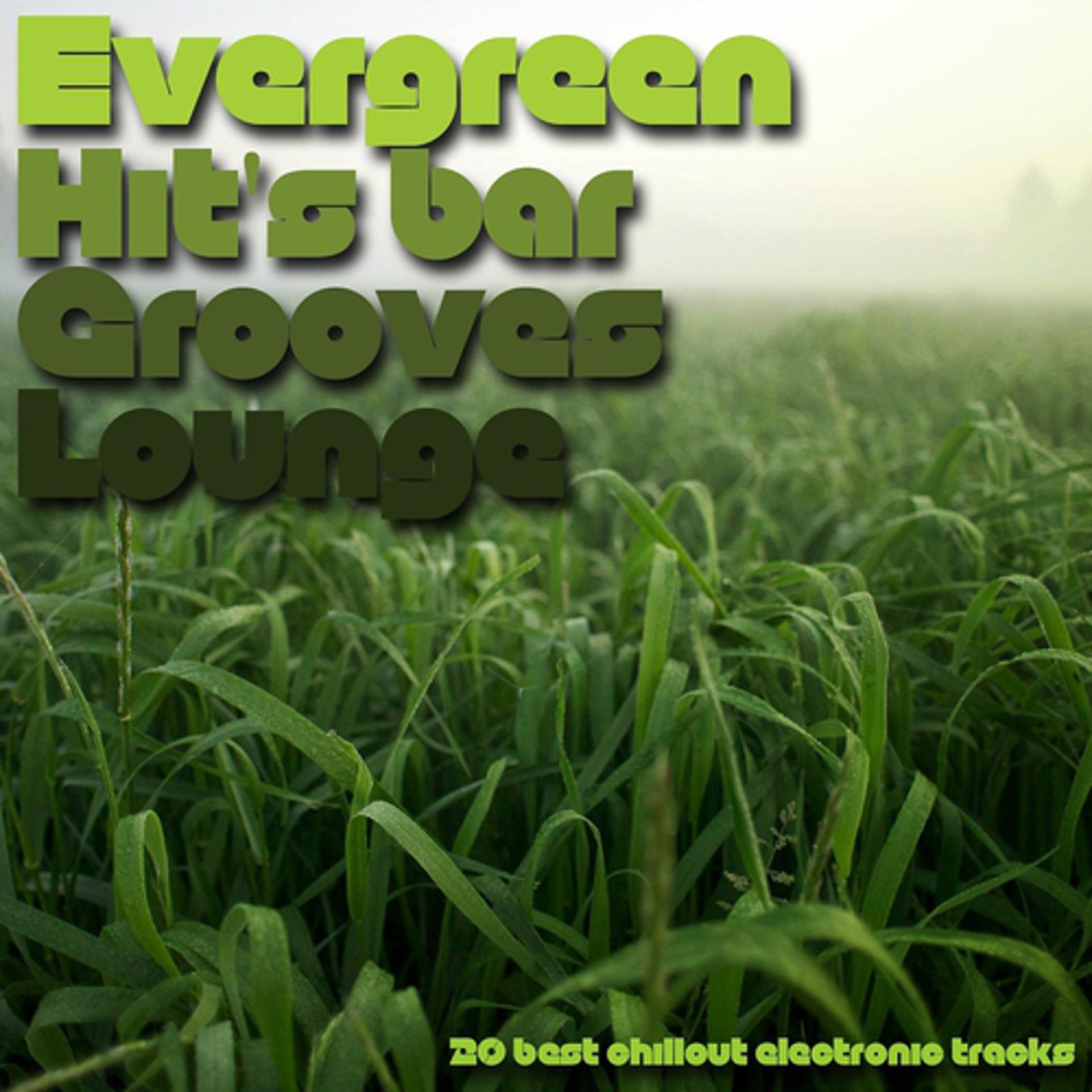 Постер альбома Evergreen Hit's Bar Grooves Lounge (20 Best Chillout Electronic Tracks)
