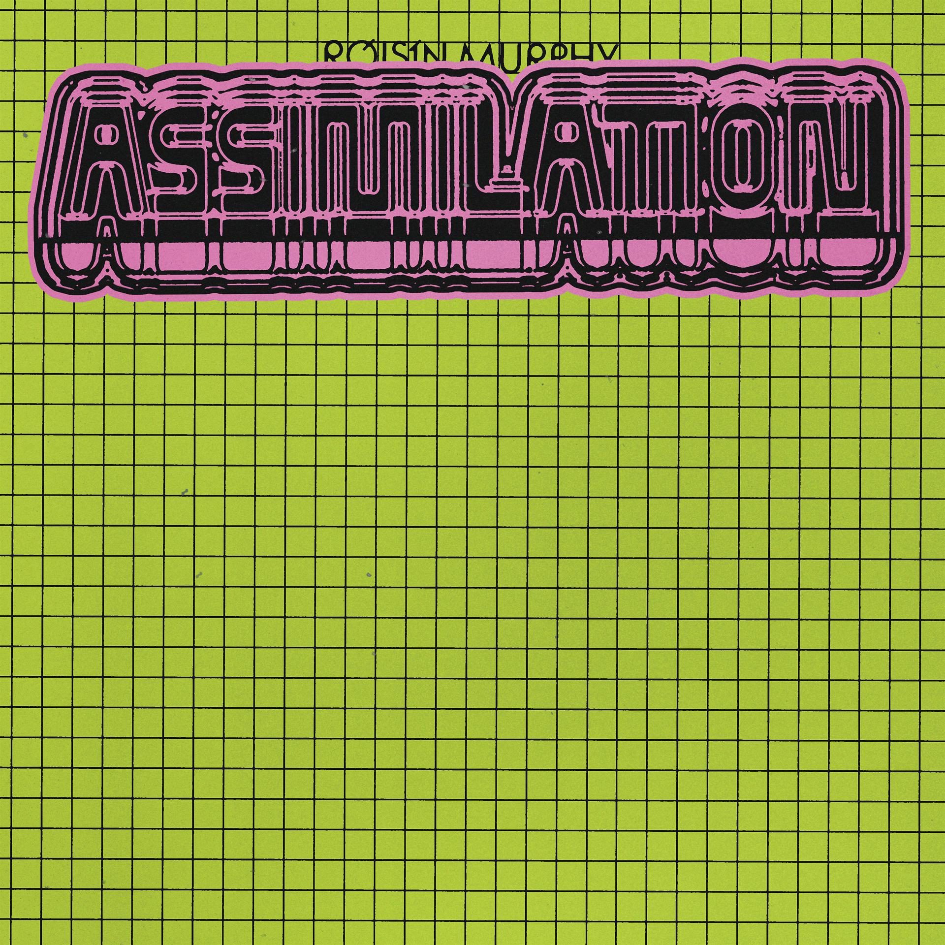 Постер альбома Assimilation