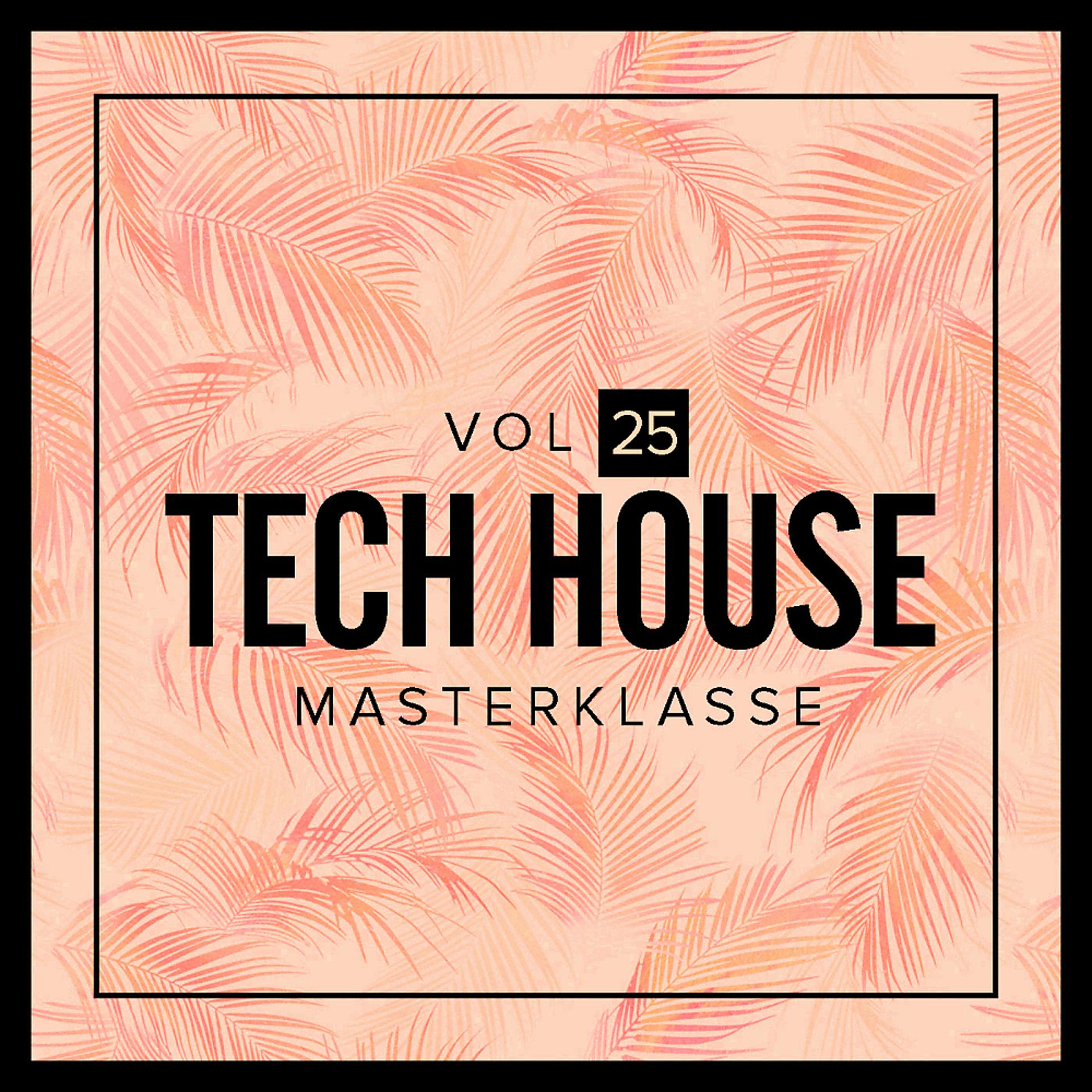 Постер альбома Tech House Masterklasse, Vol.25