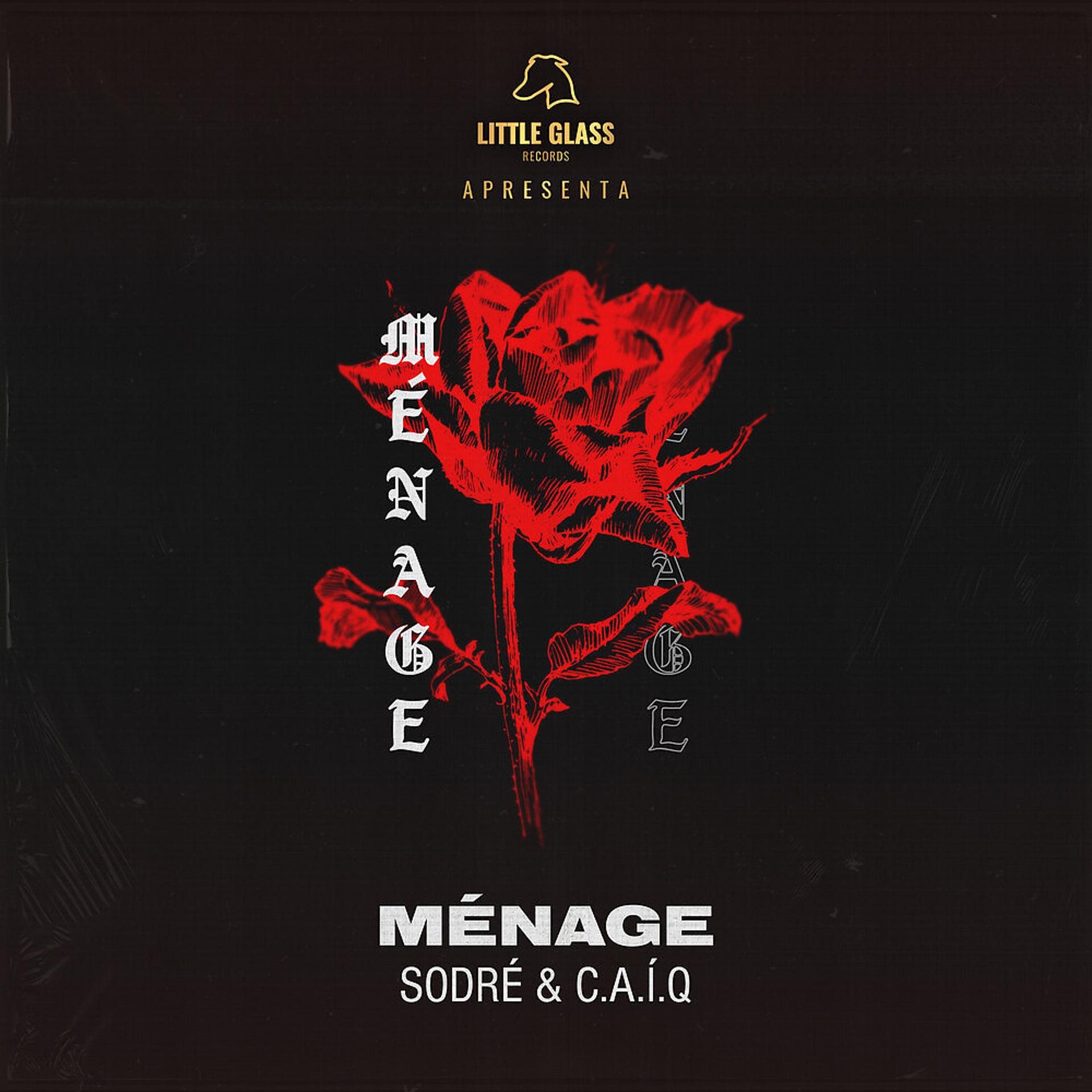 Постер альбома Ménage