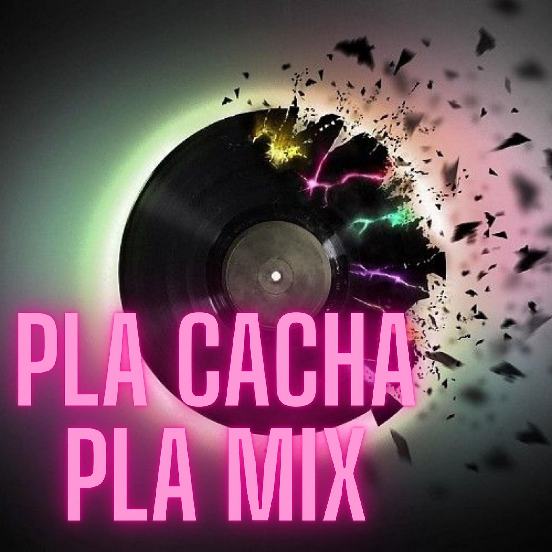 Постер альбома Pla Cacha Pla Mix
