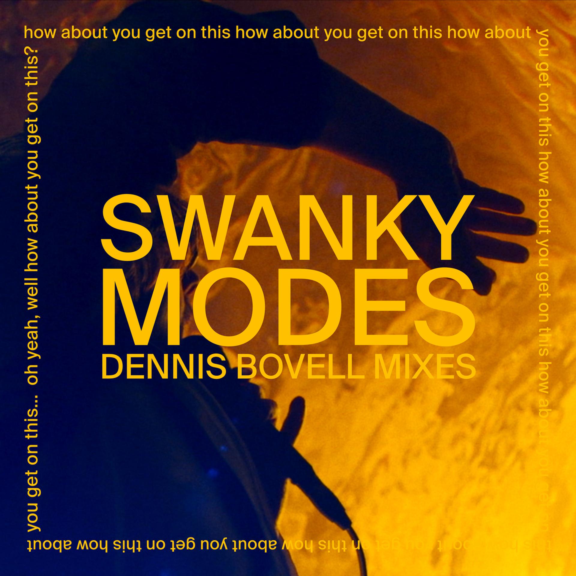 Постер альбома Swanky Modes