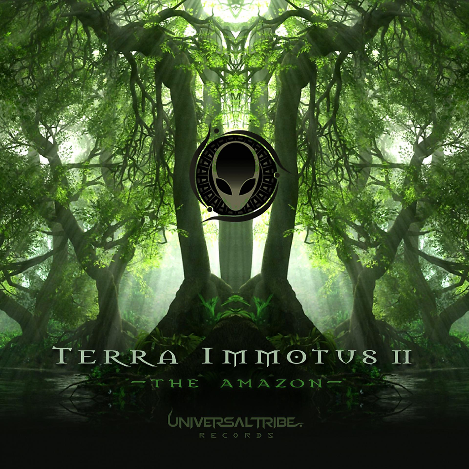 Постер альбома Terra Immotus 2