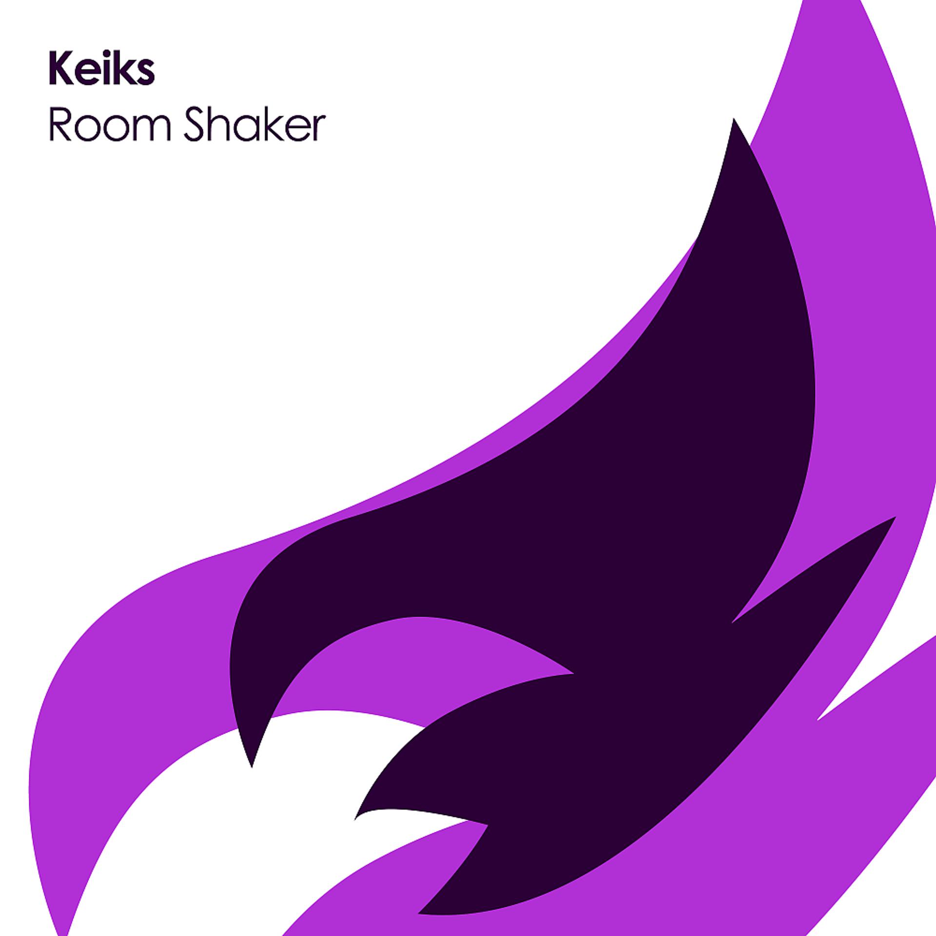 Постер альбома Room Shaker