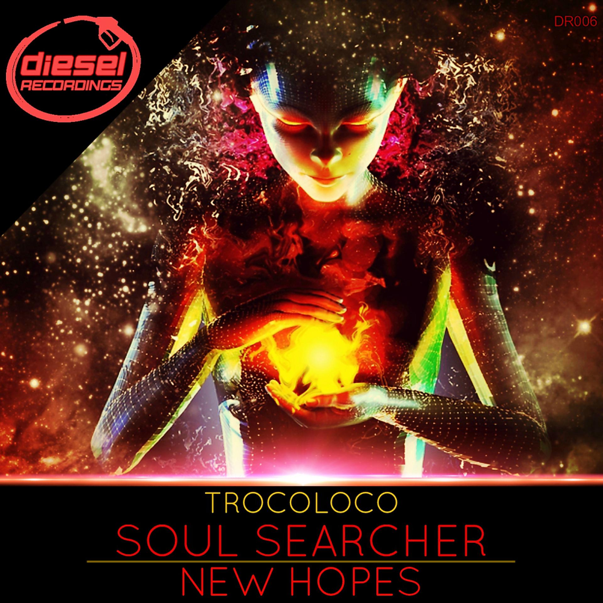 Постер альбома Soul Searcher / New Hopes