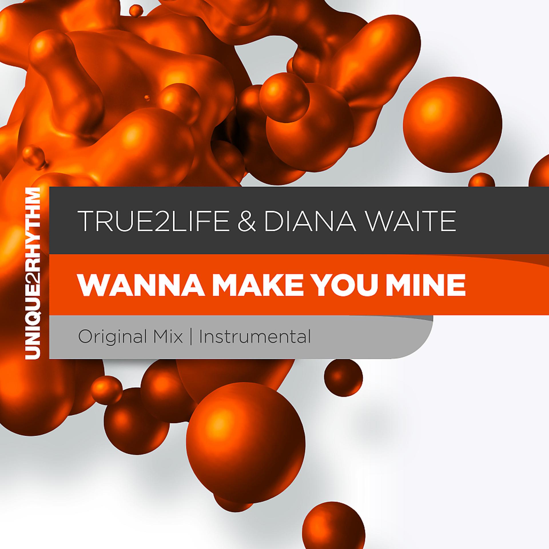 Постер альбома Wanna Make You Mine