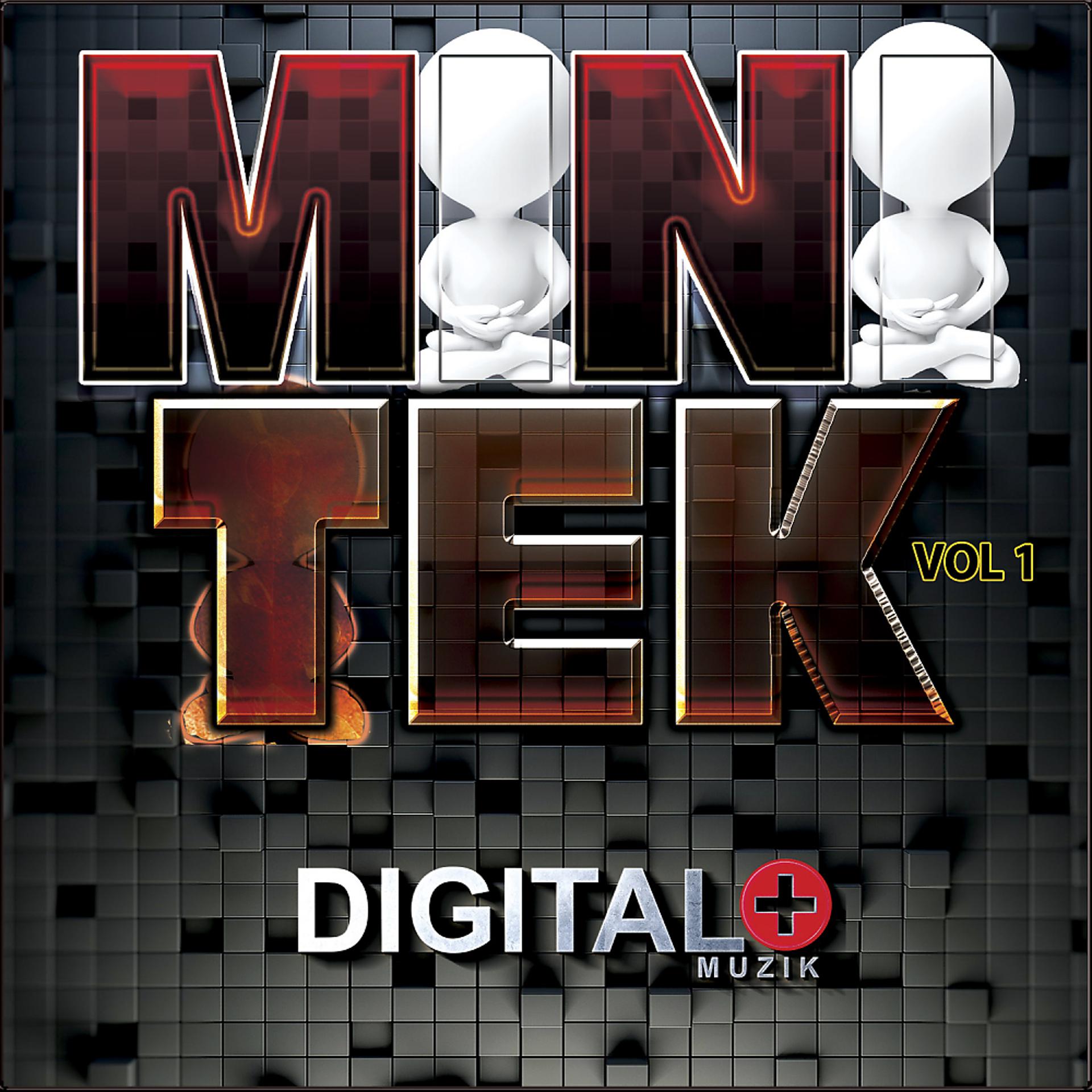 Постер альбома Mini Tek, Vol. 1