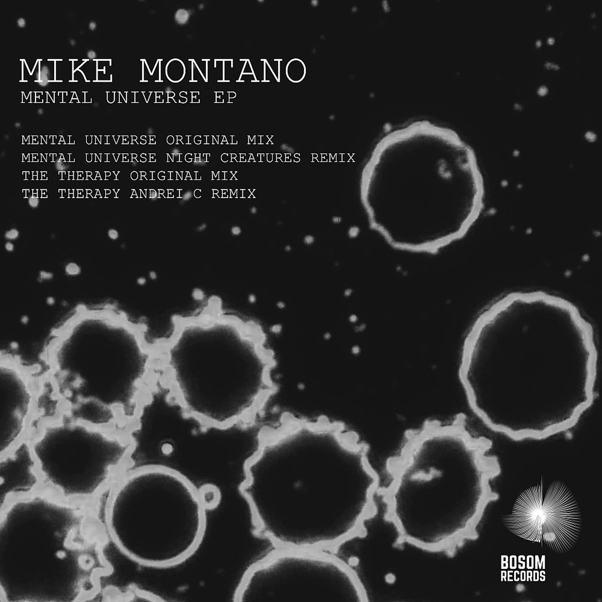 Постер альбома Mental Universe EP